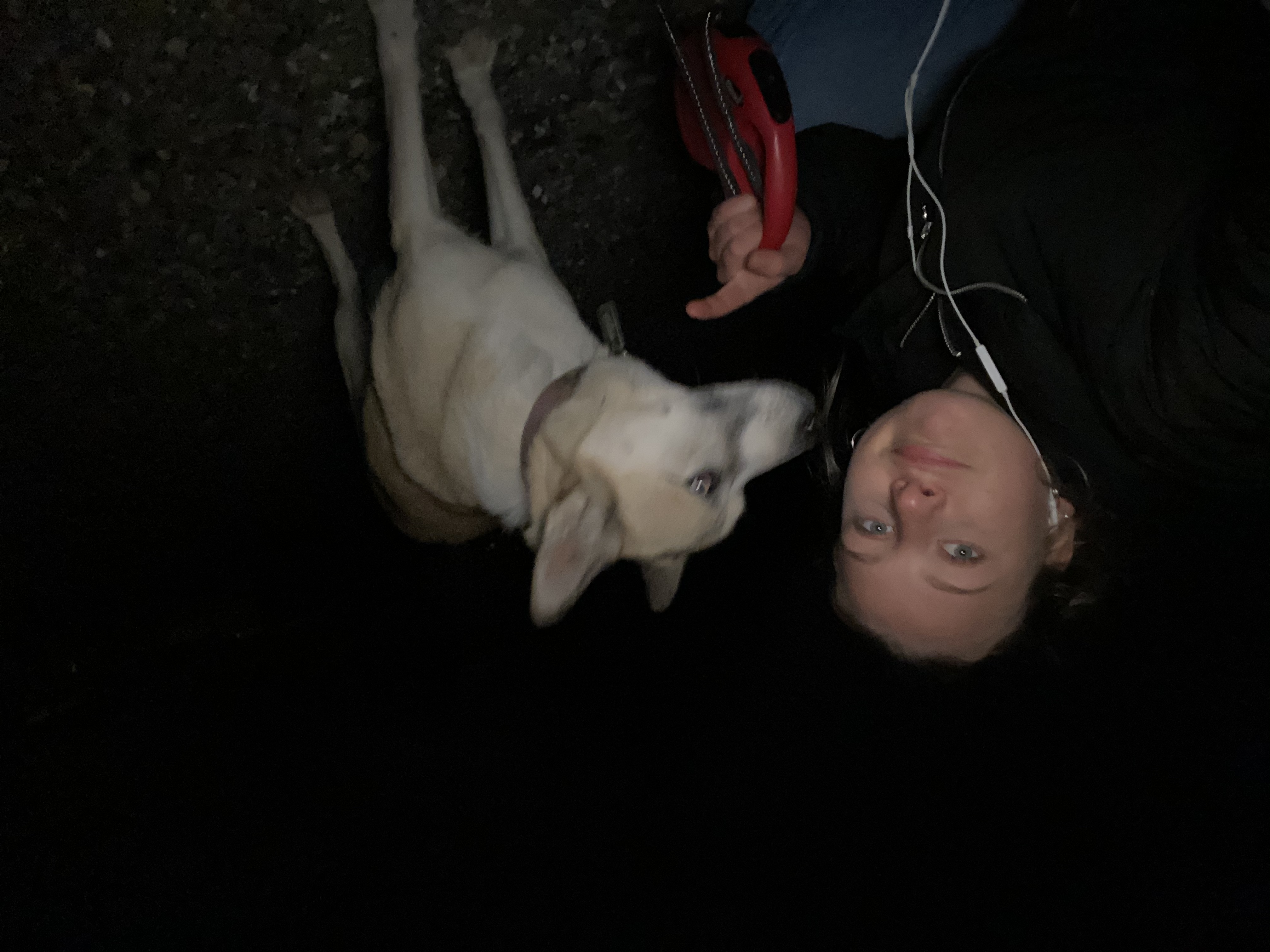 image-6