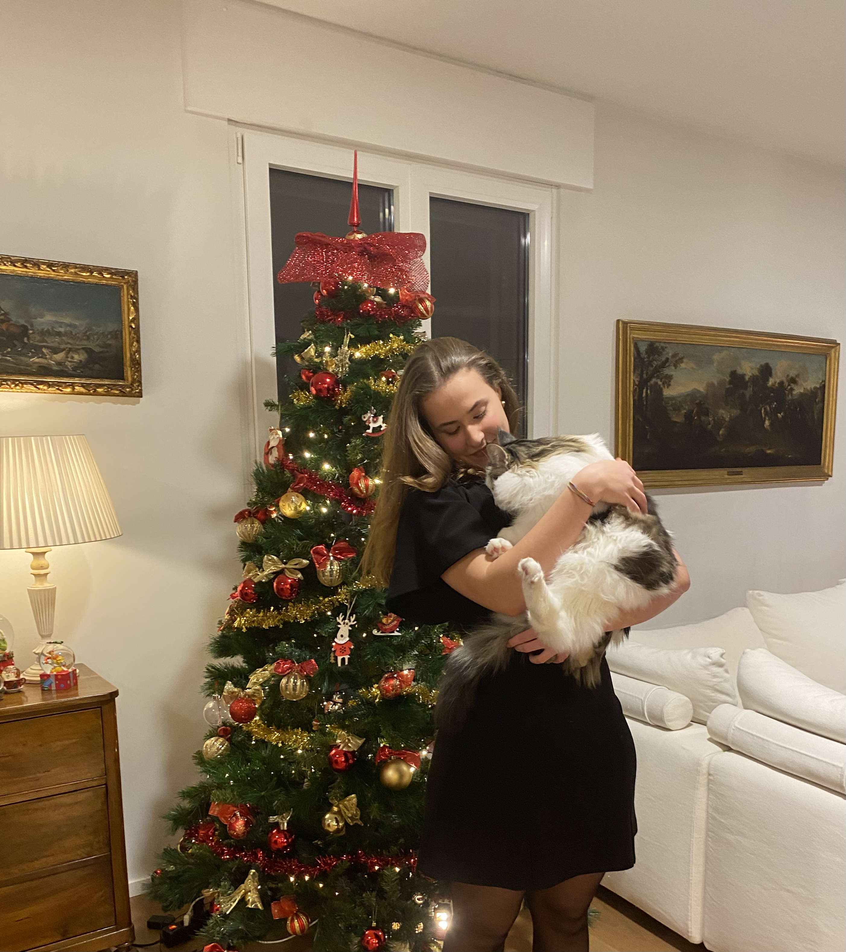 image-6