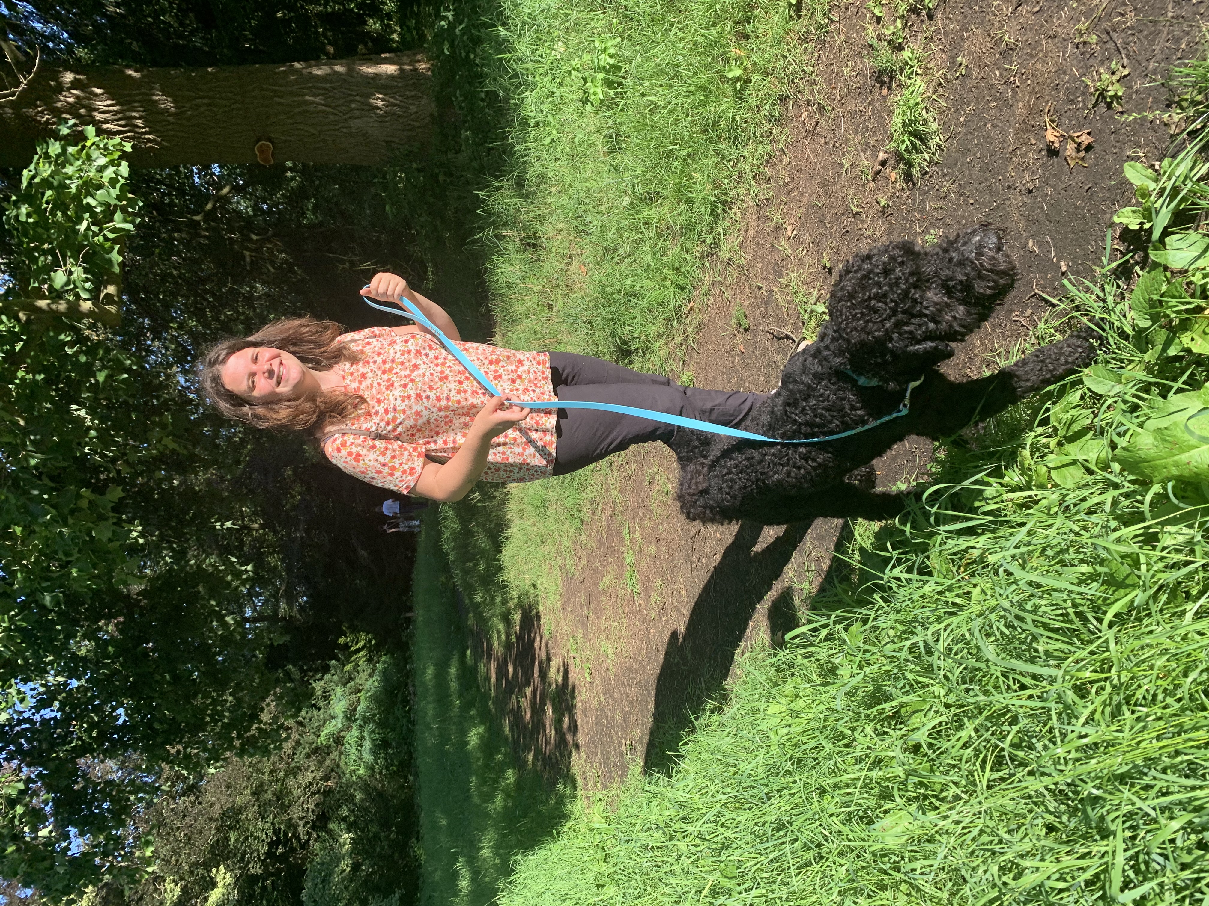 image-6