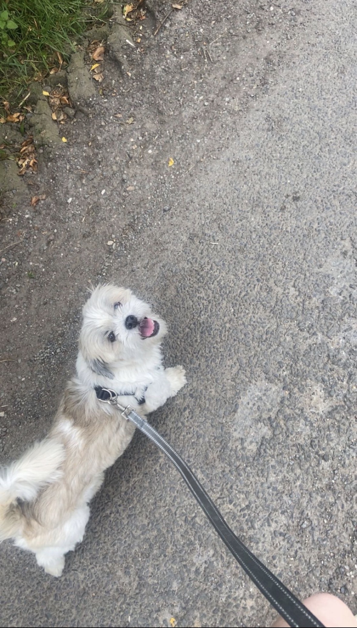image-9