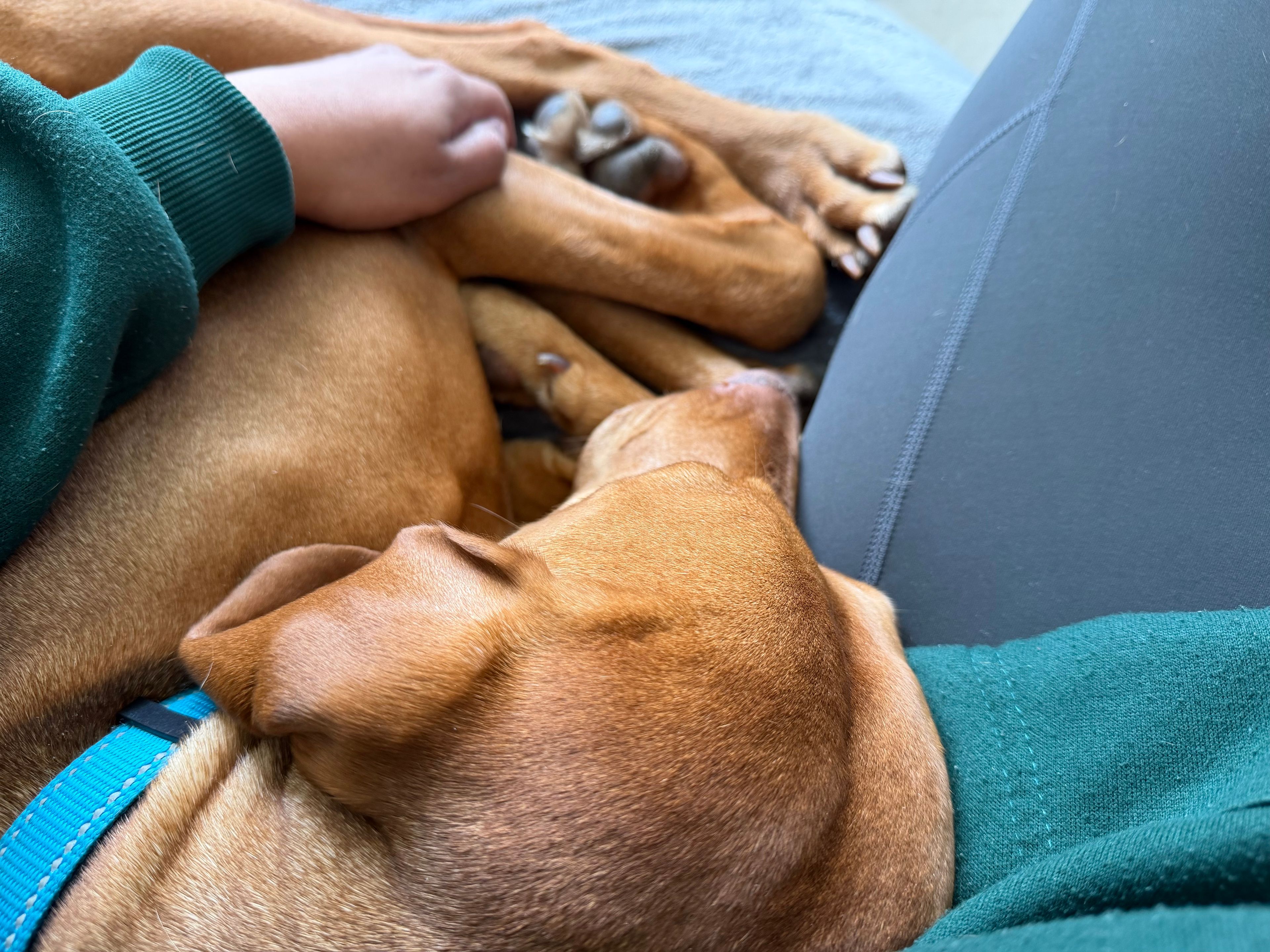 image-16