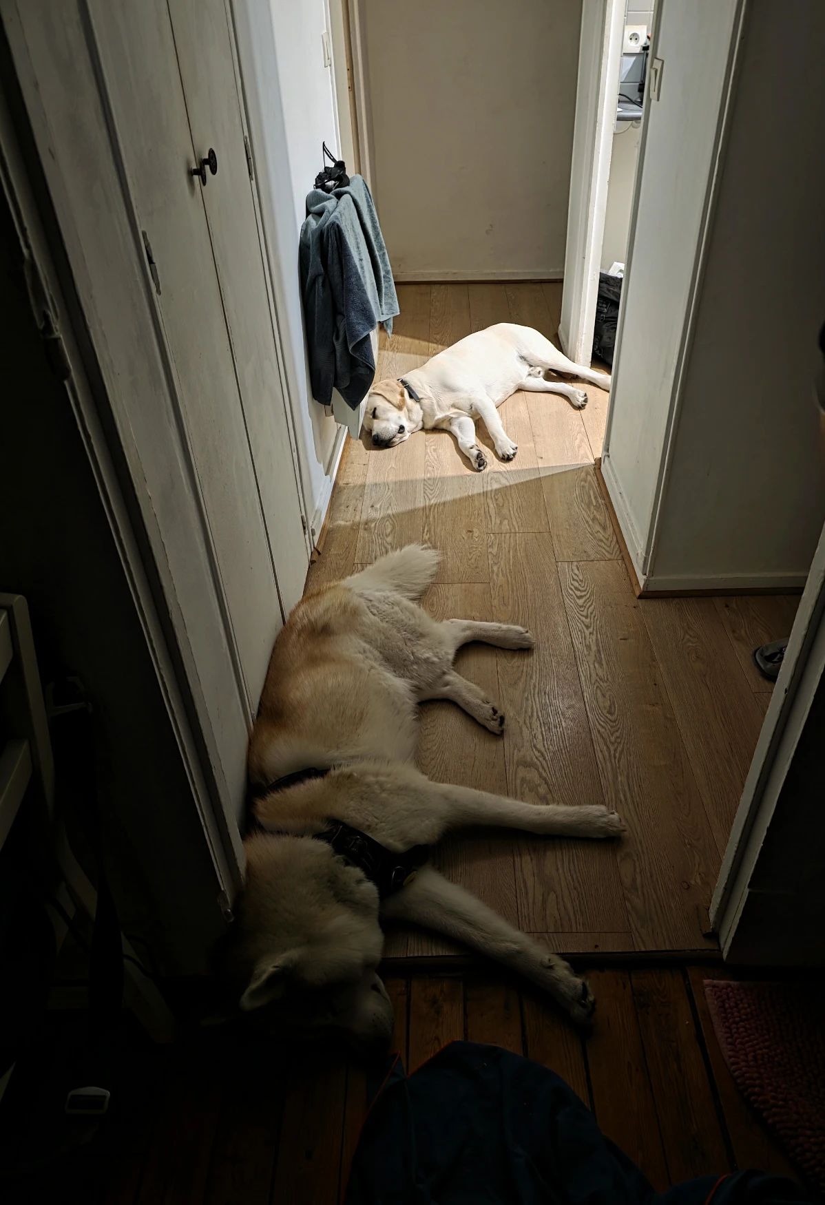 image-18