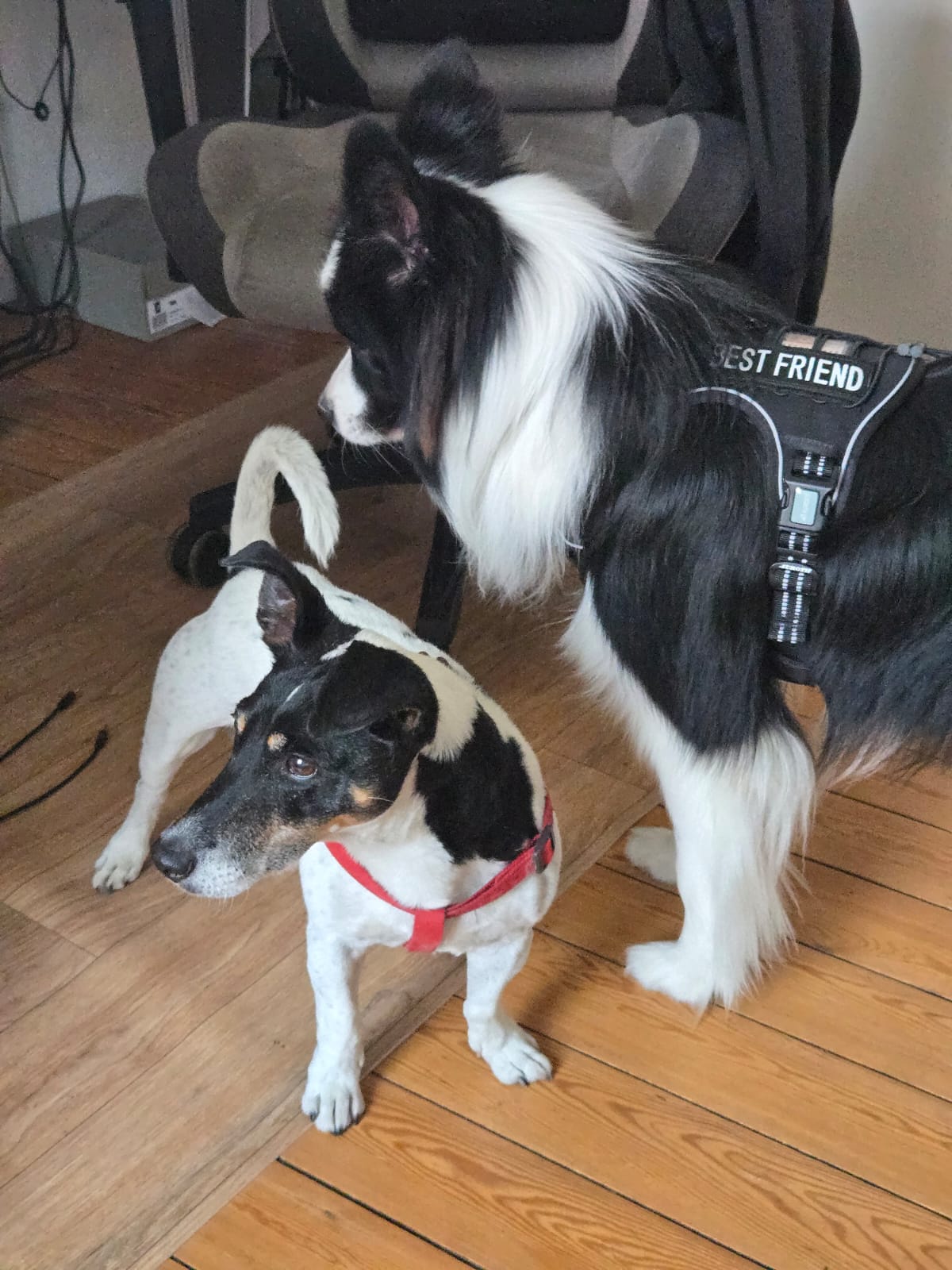 image-9