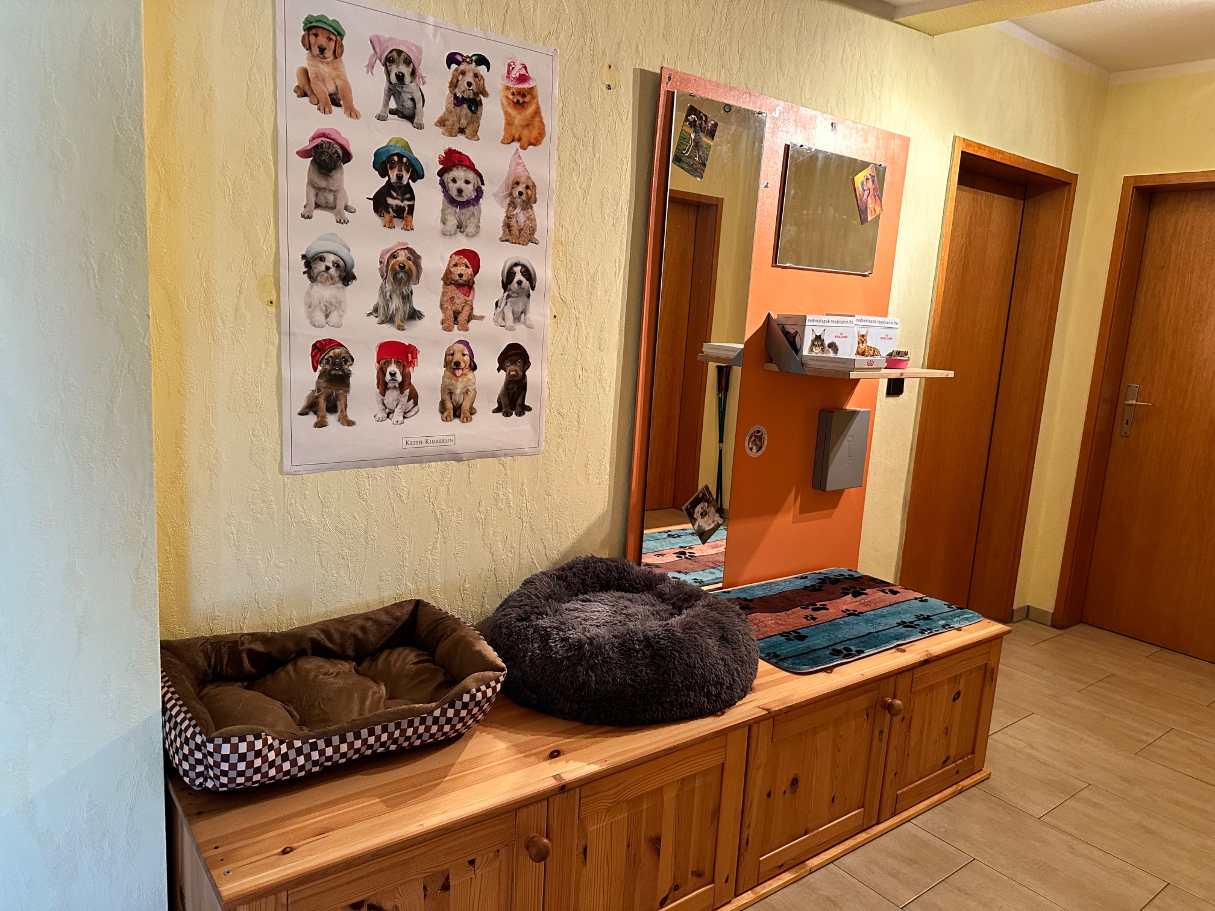 image-10
