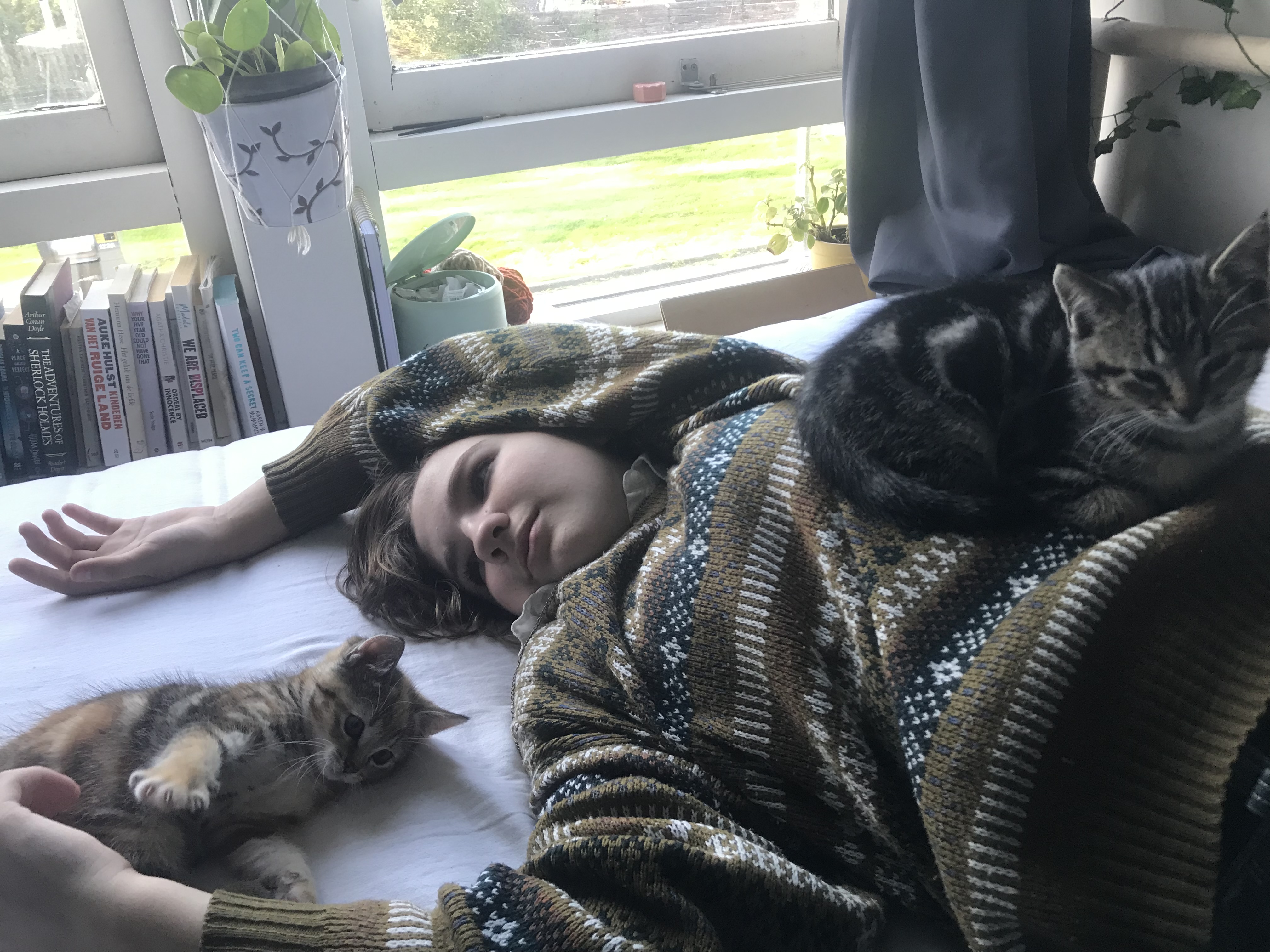 image-6