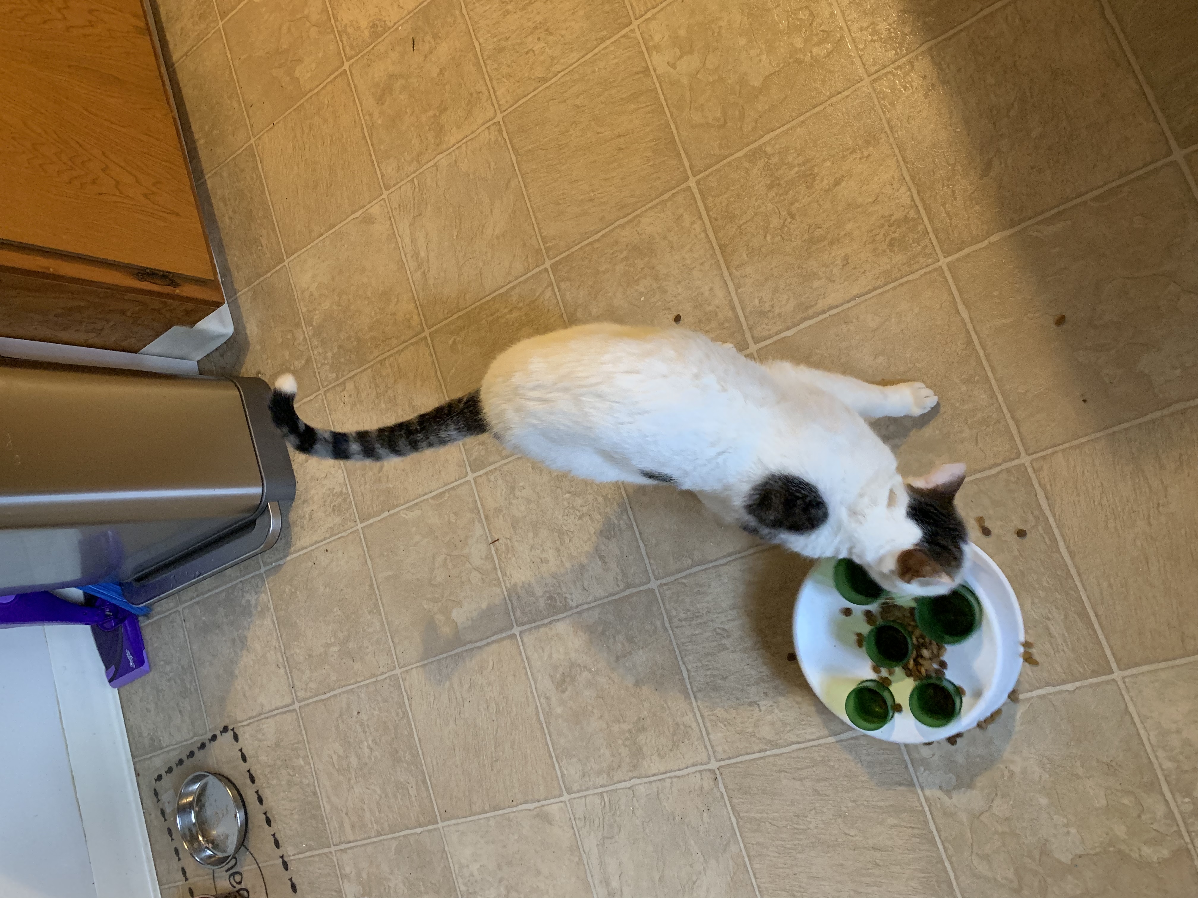 image-10