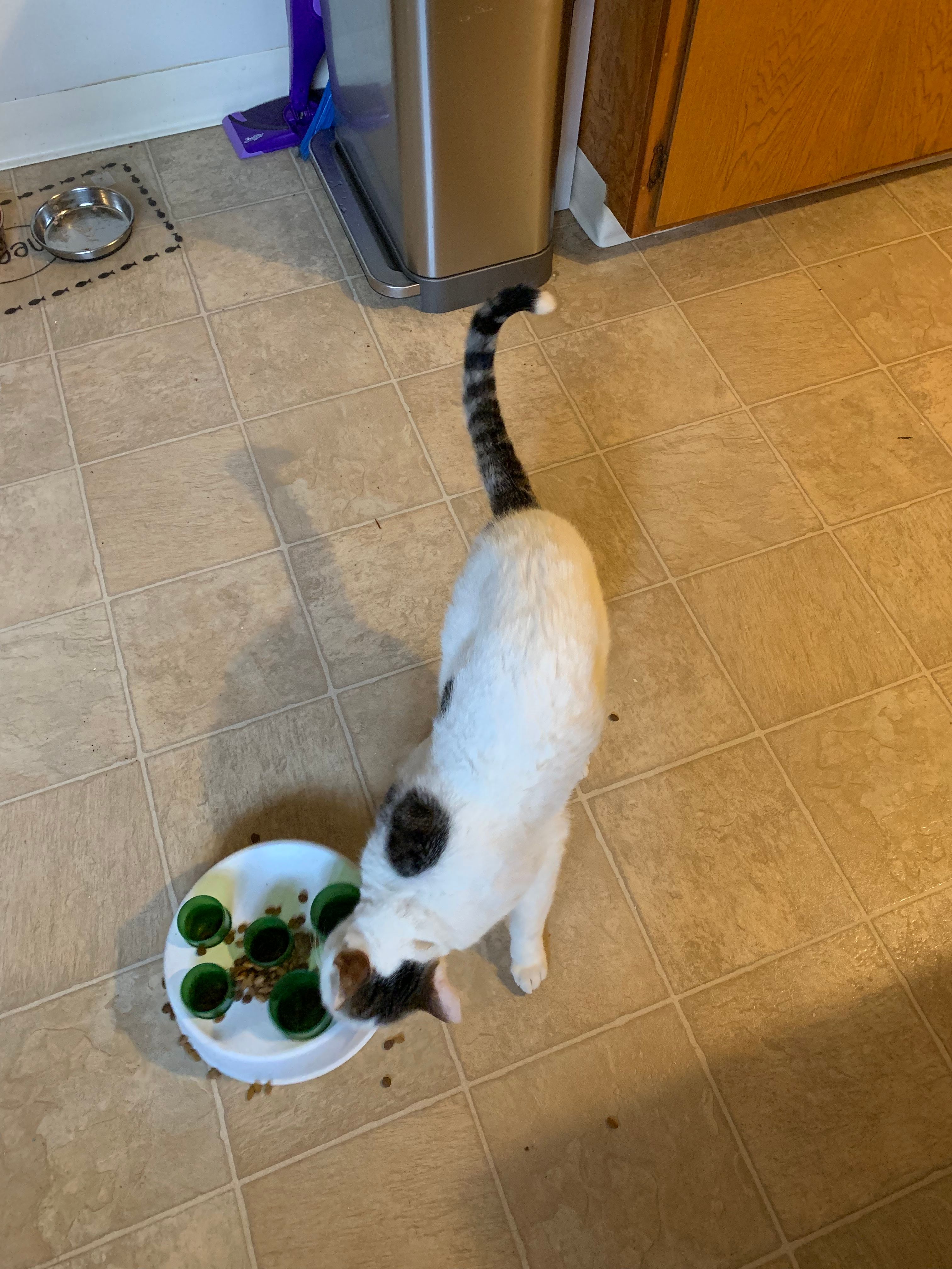 image-10