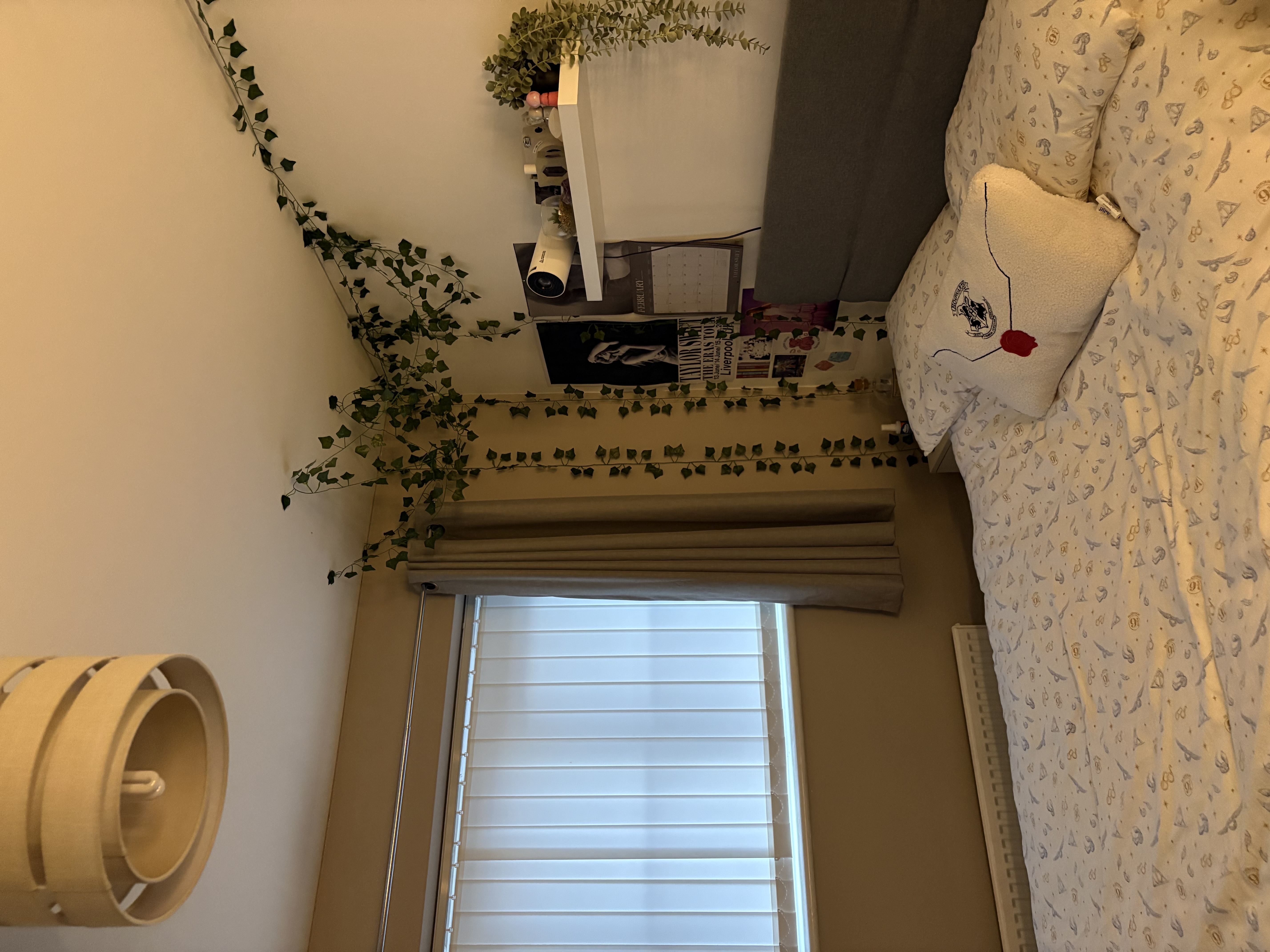image-7