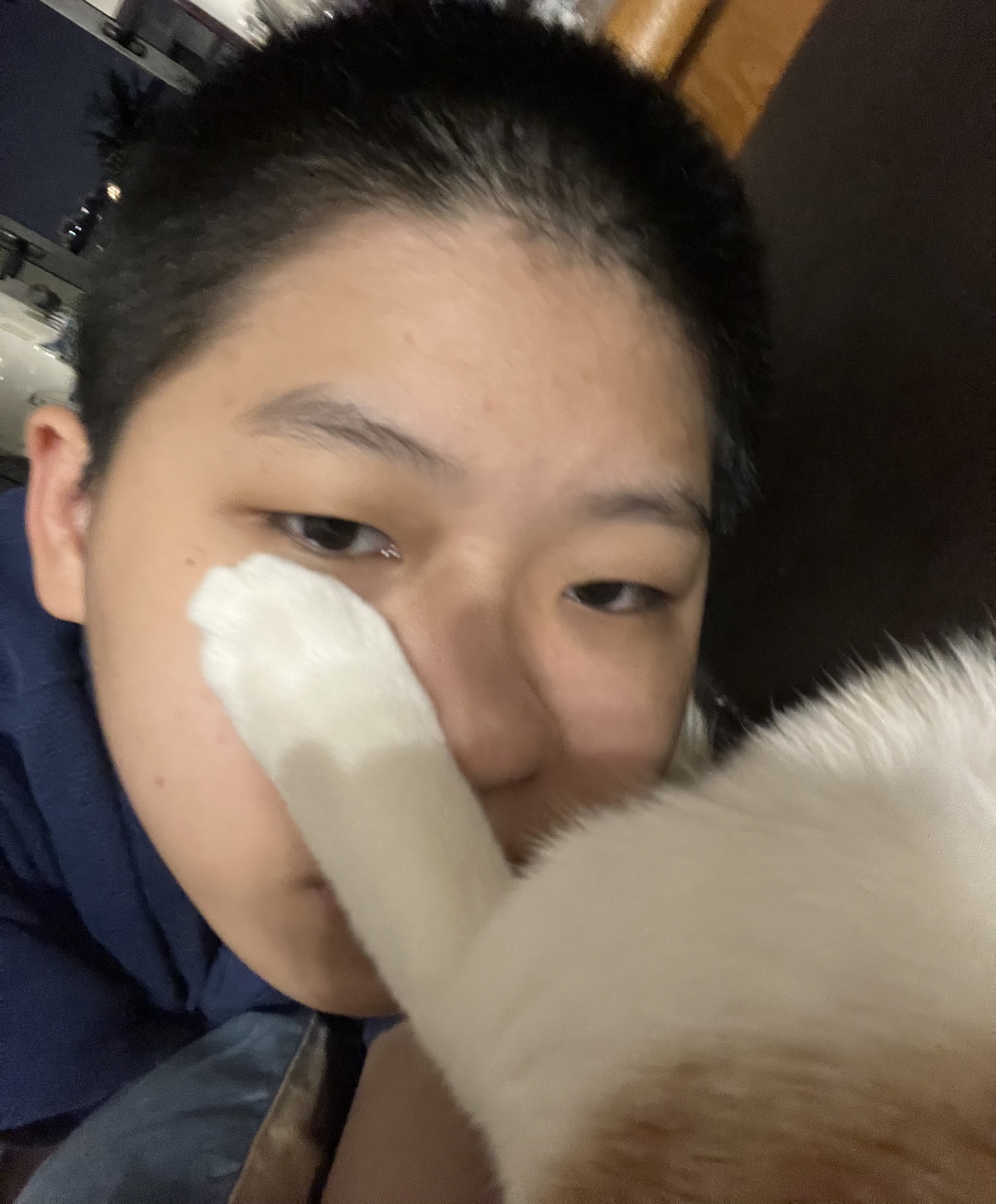 image-2