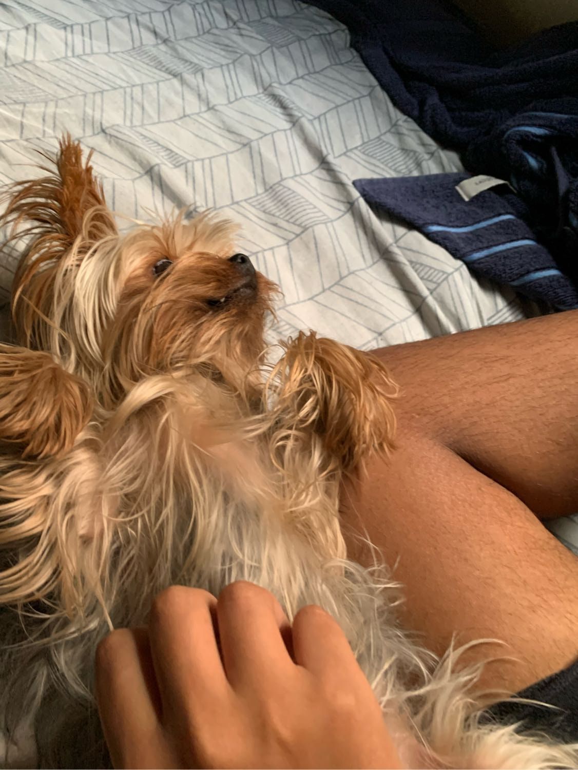 image-5