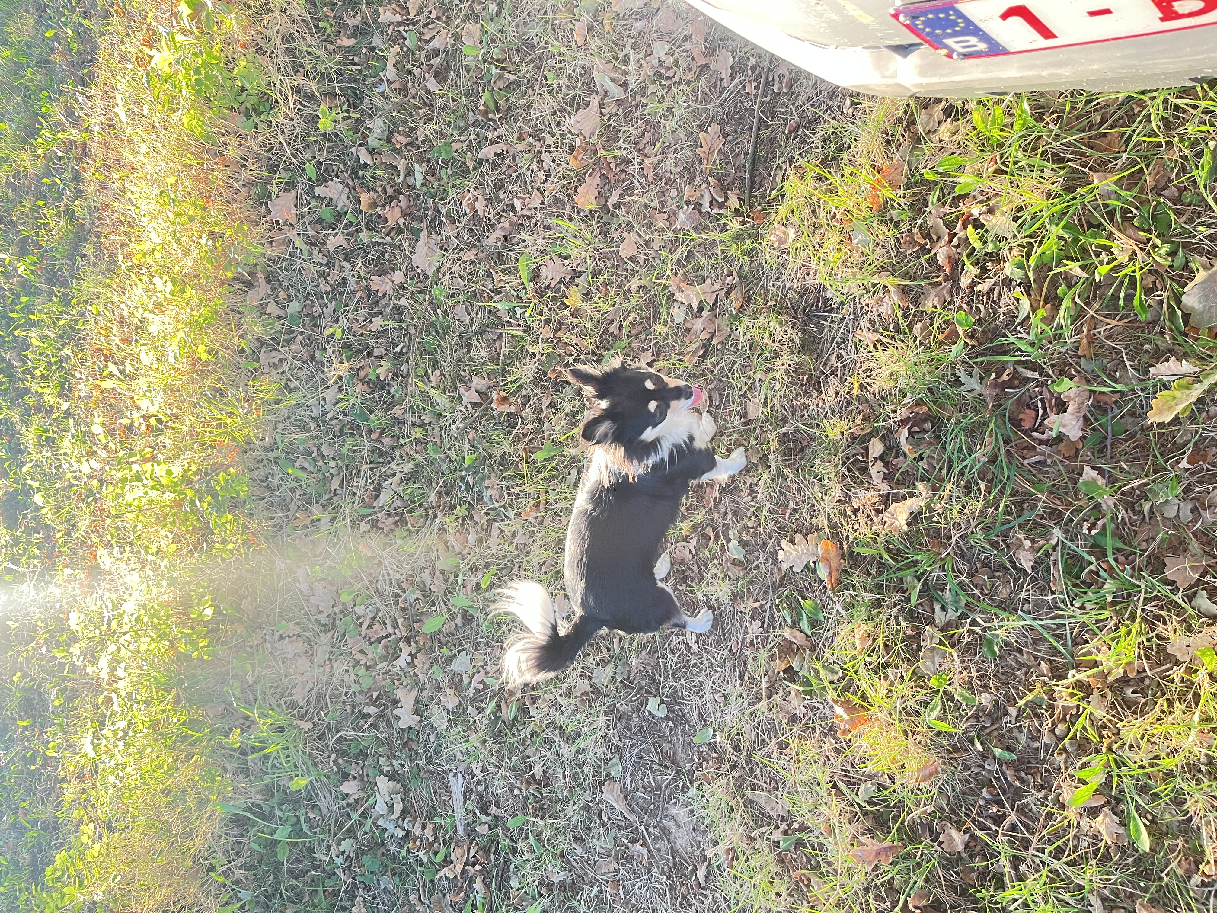 image-7