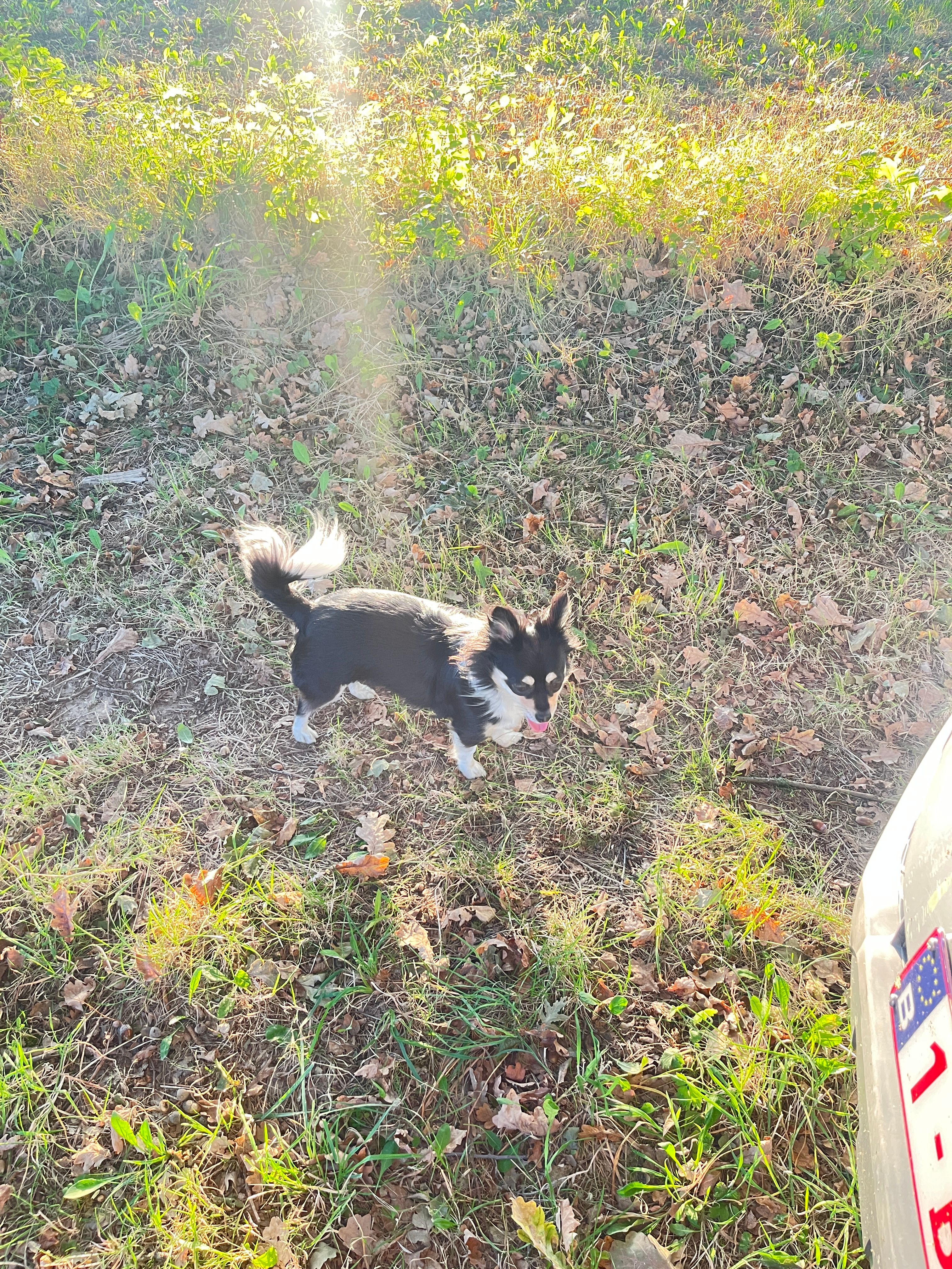 image-7
