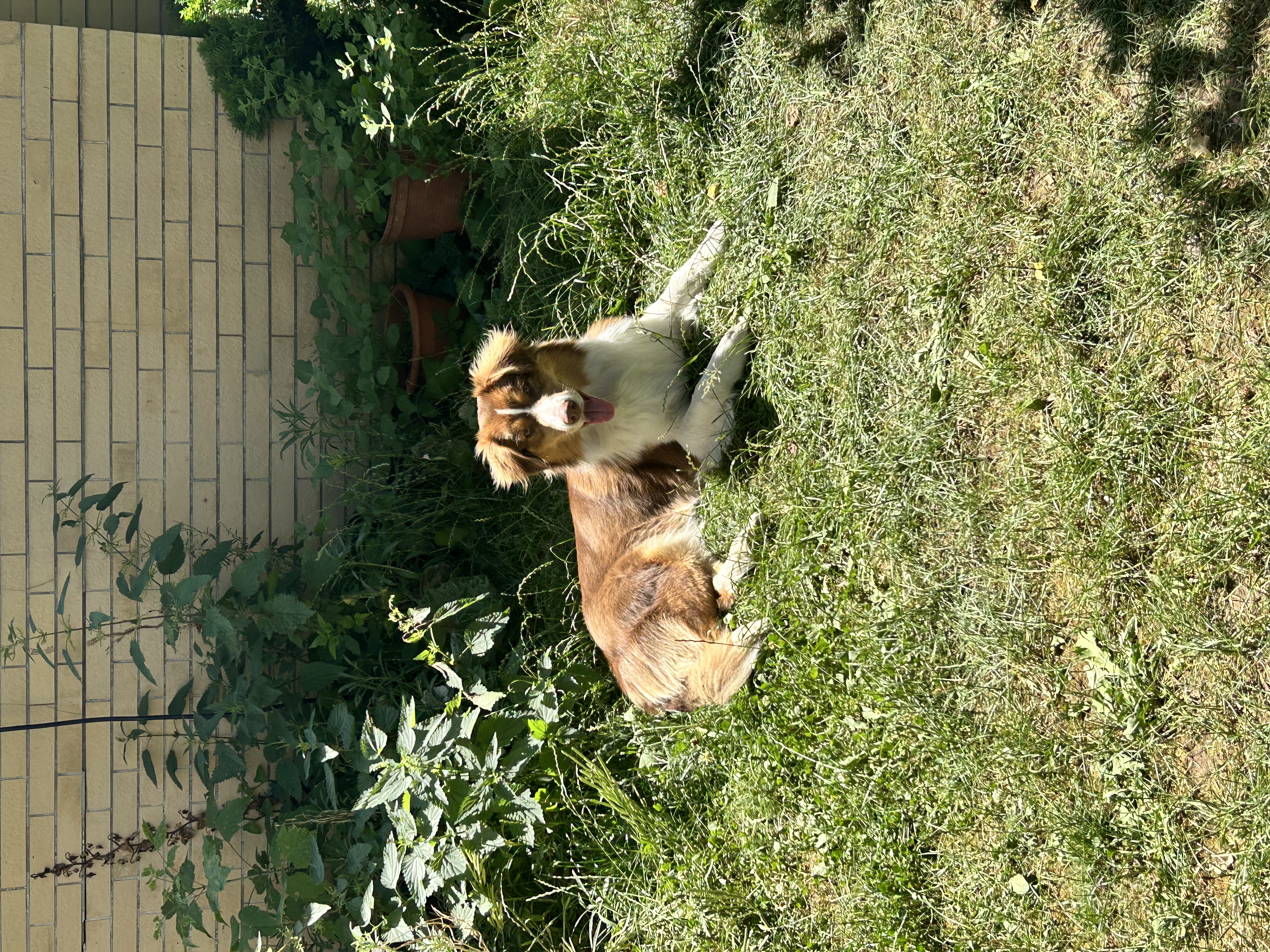 image-6