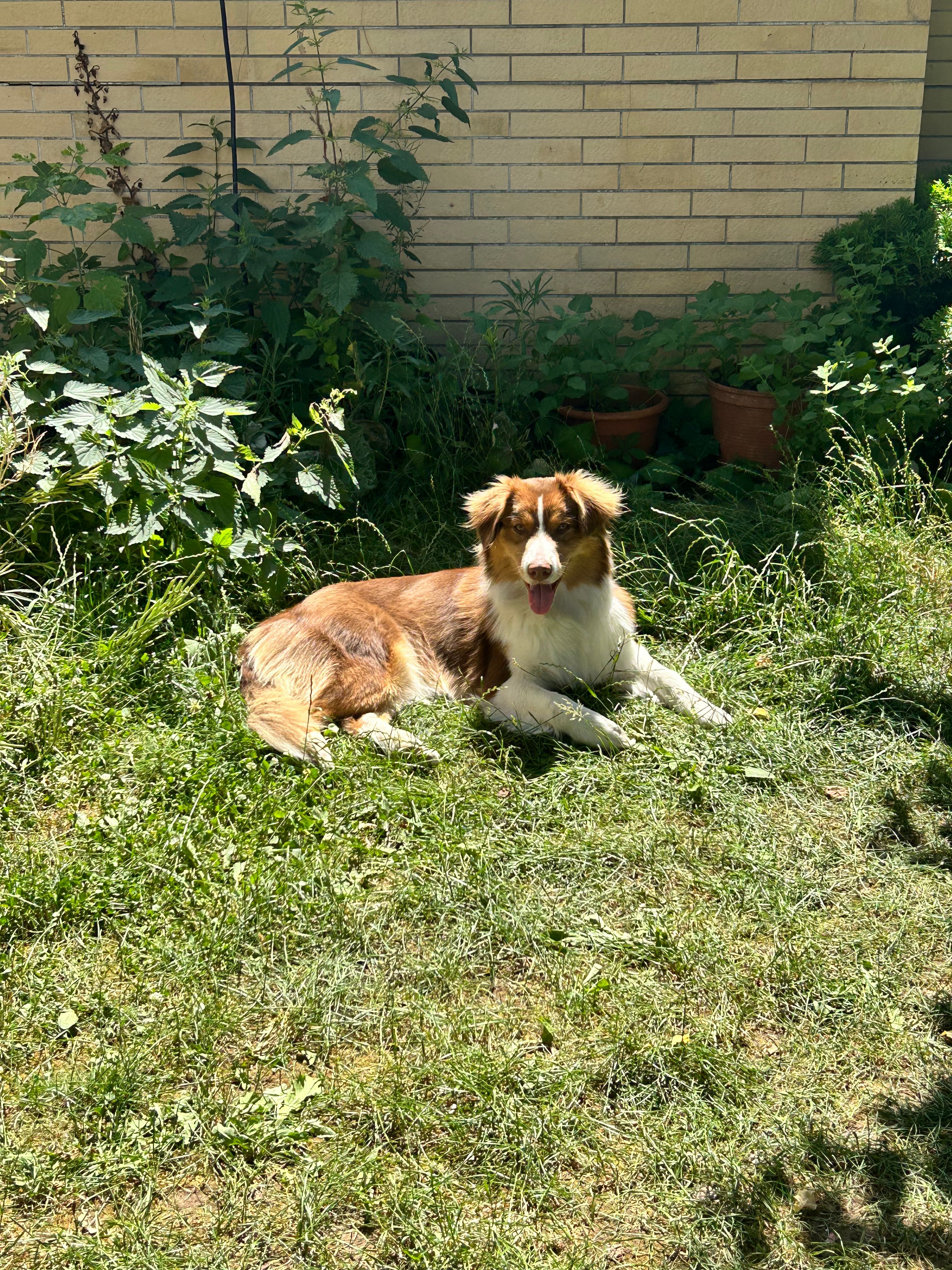 image-6