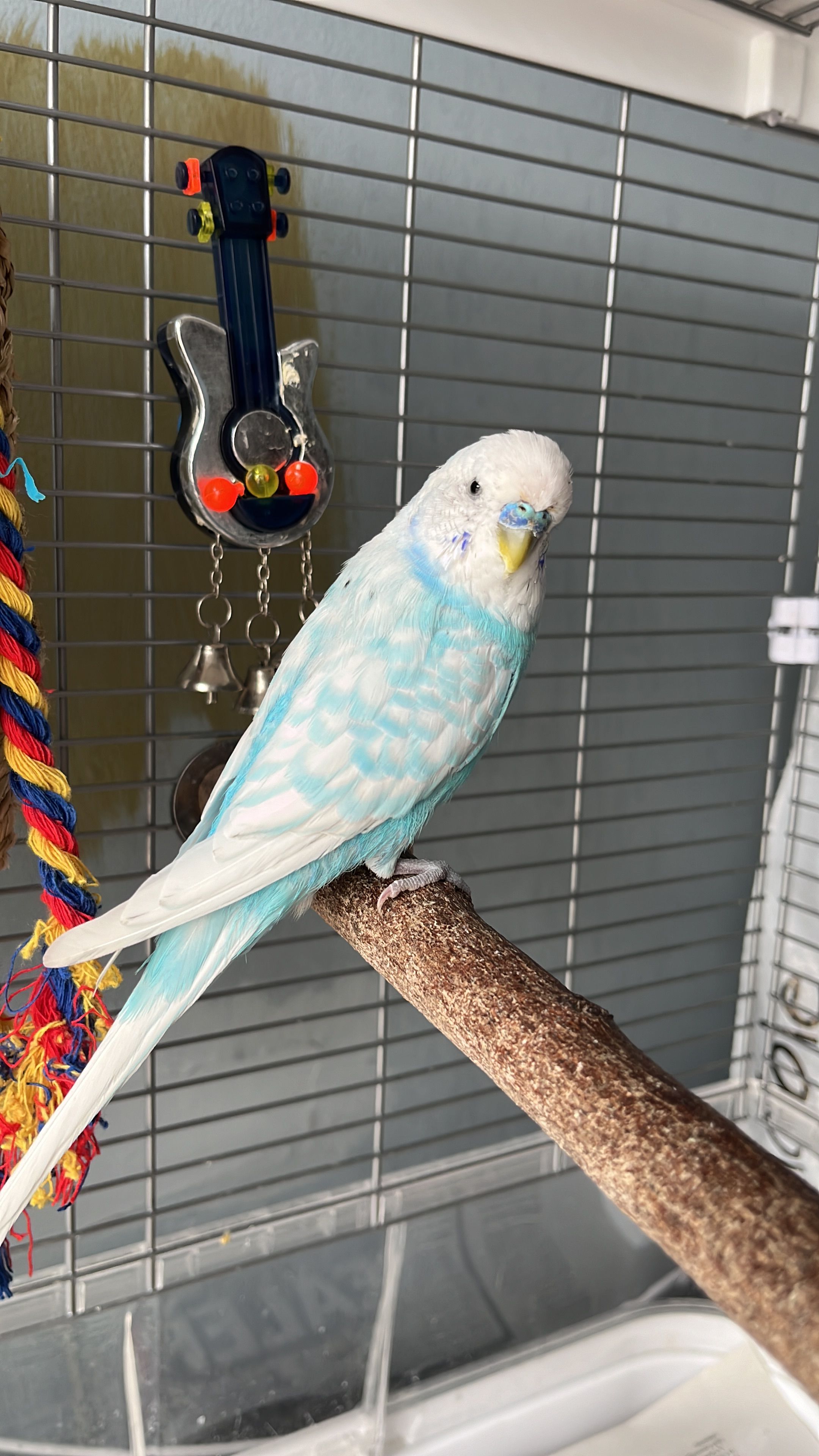 image-13