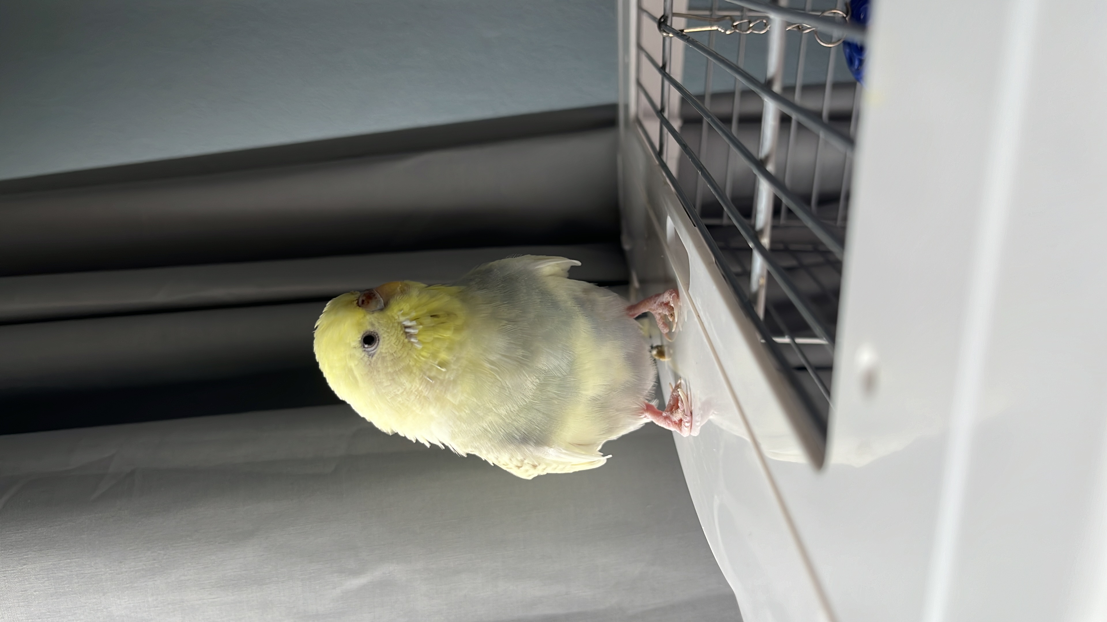 image-14