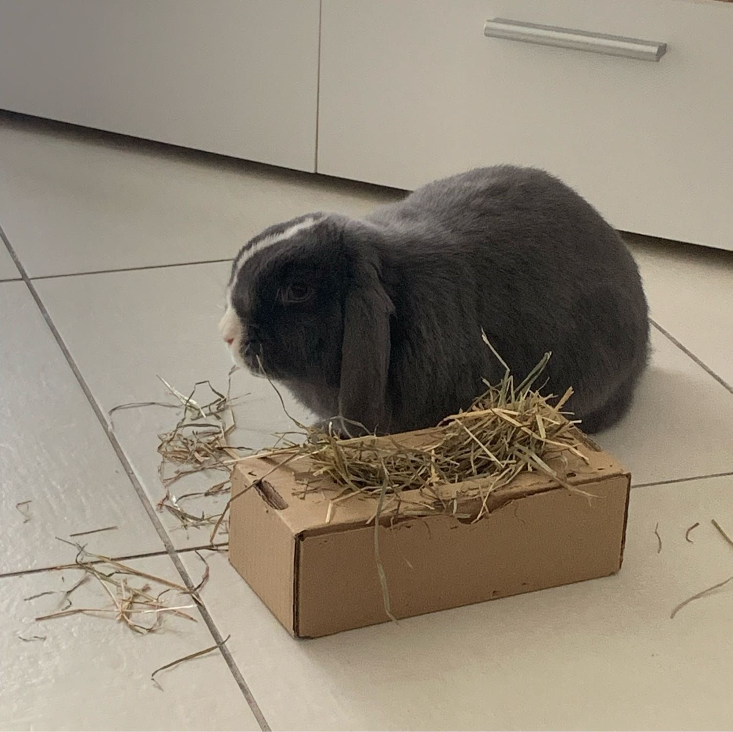 image-18