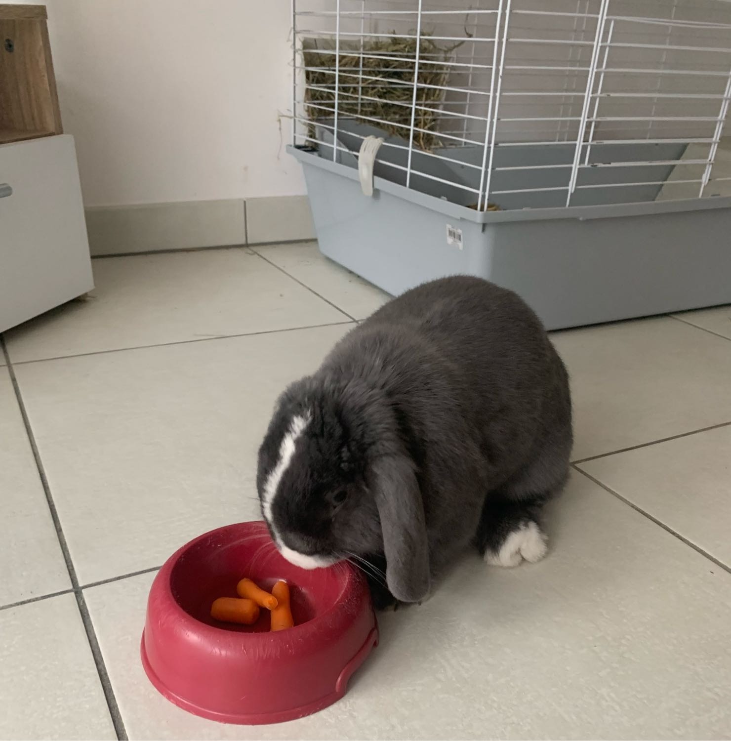 image-25