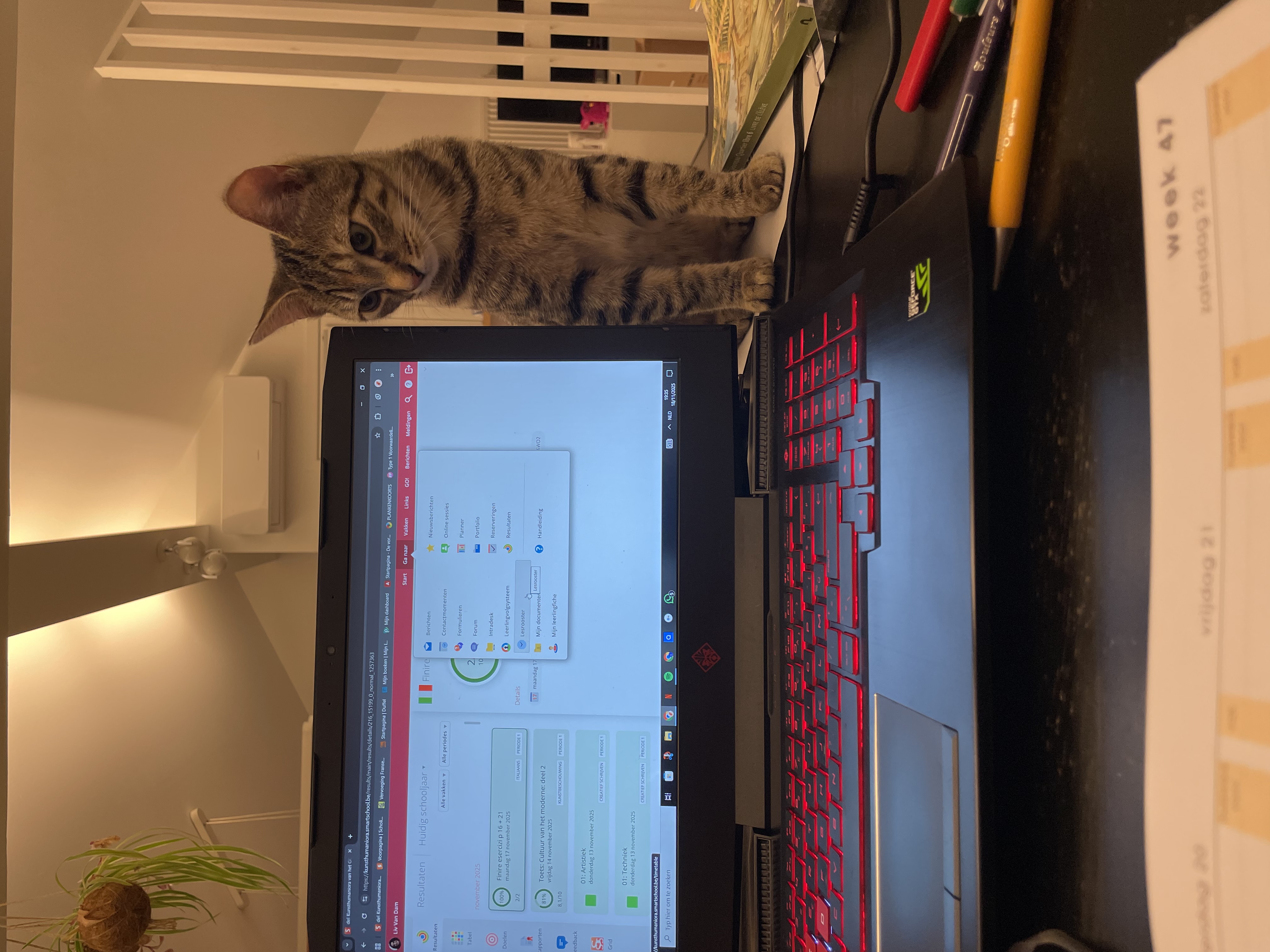 image-9