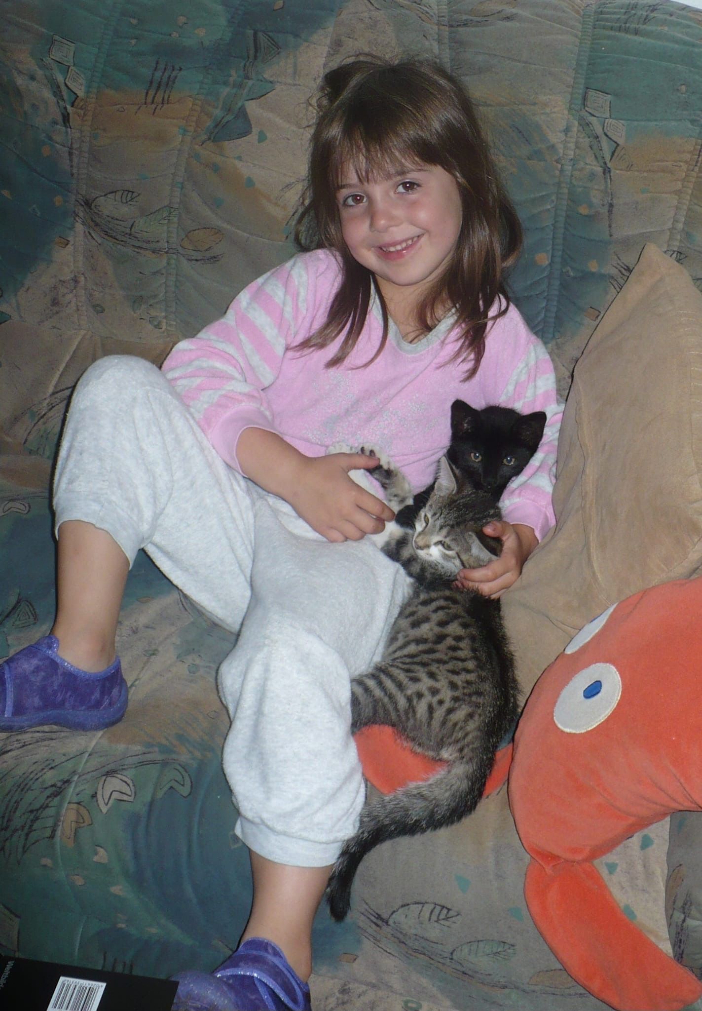 image-8