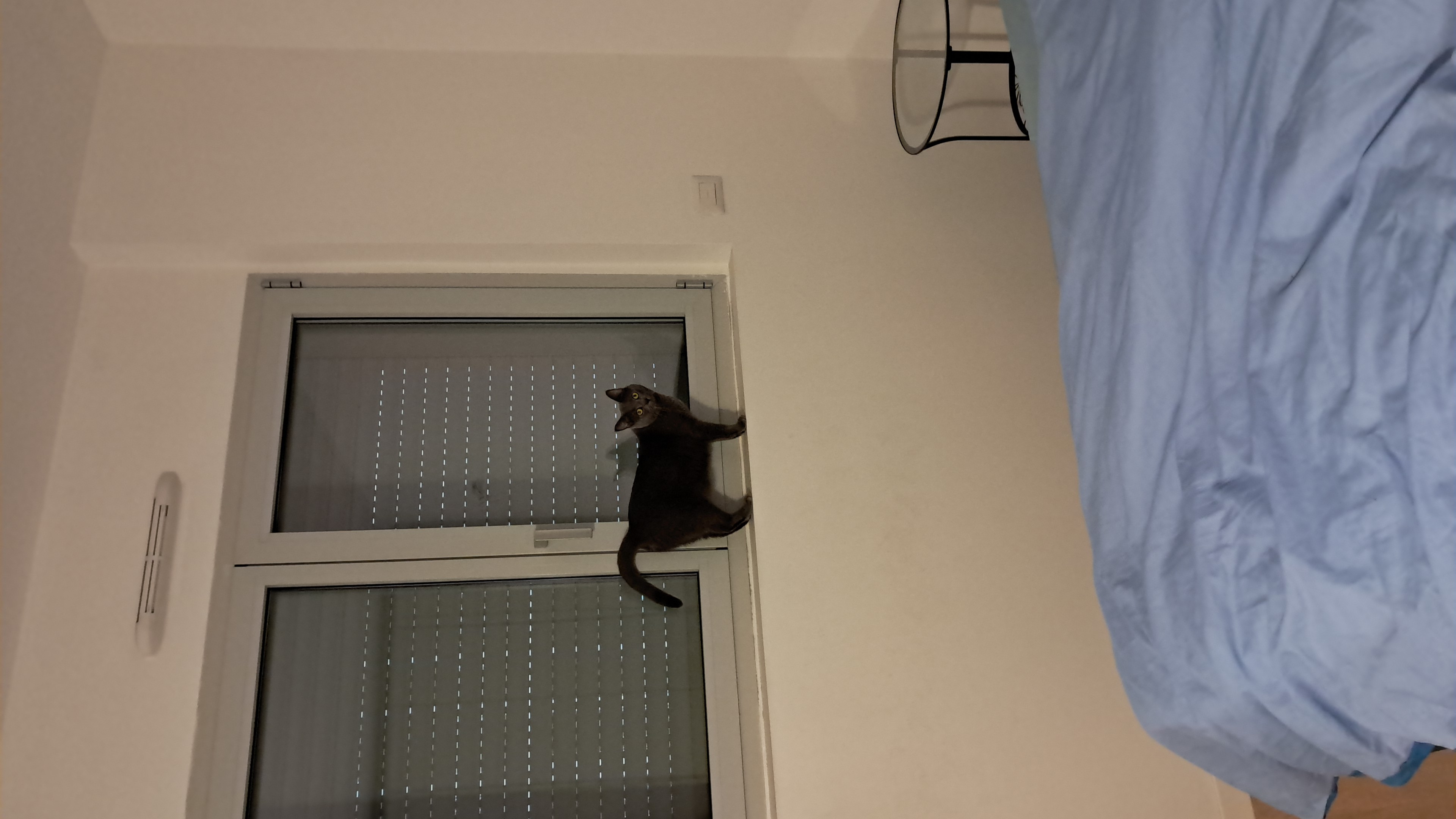 image-5