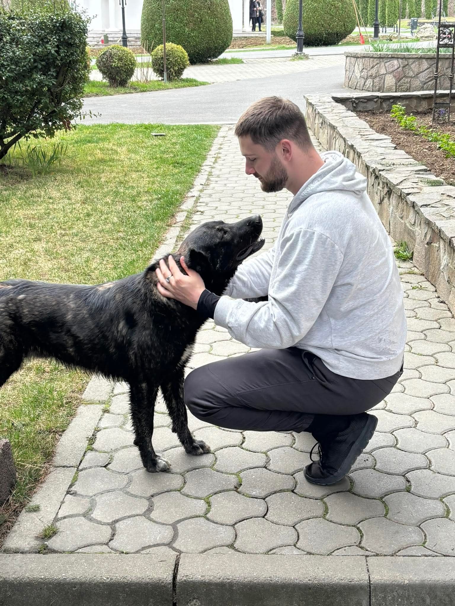 image-6