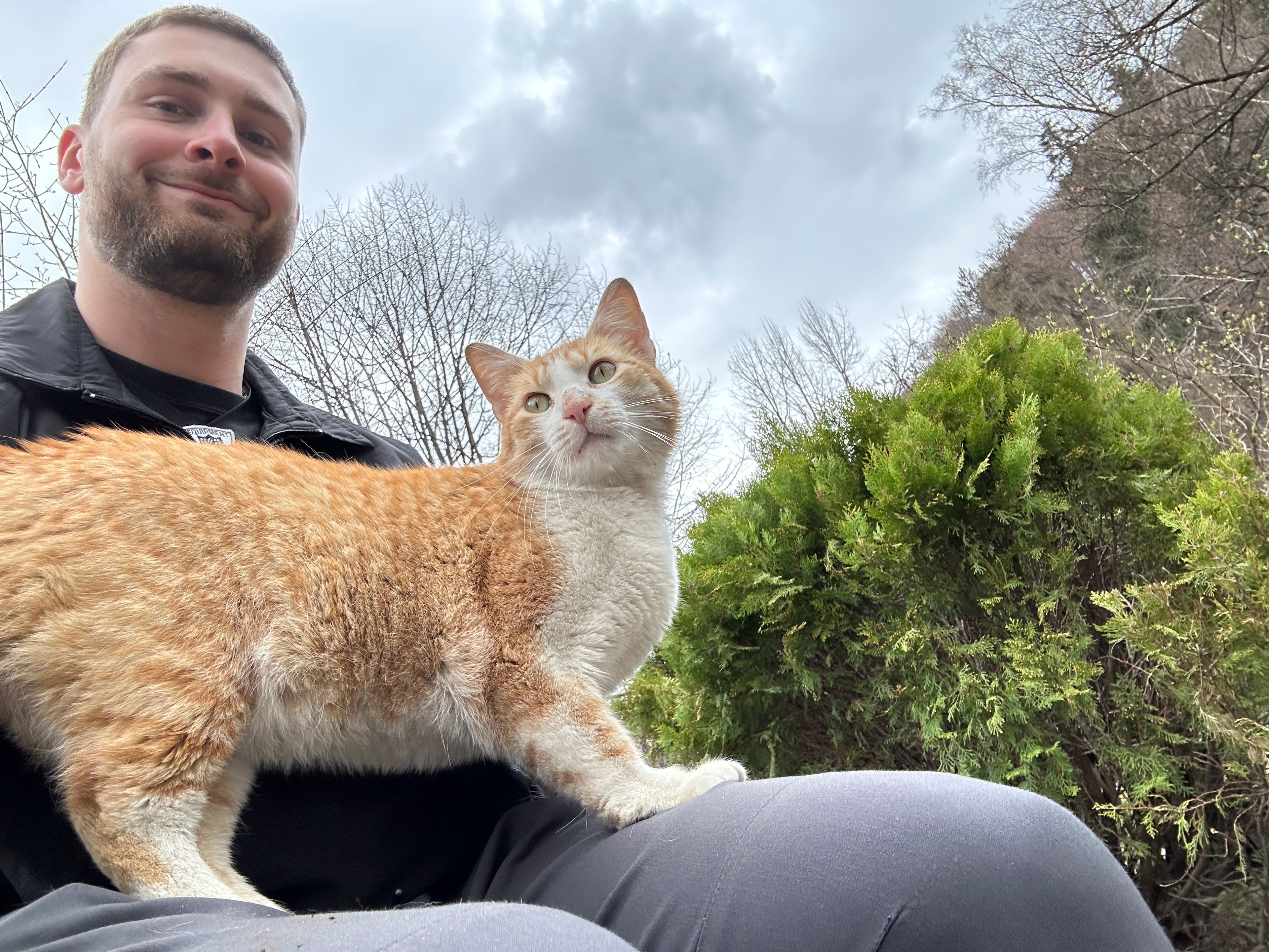 image-2