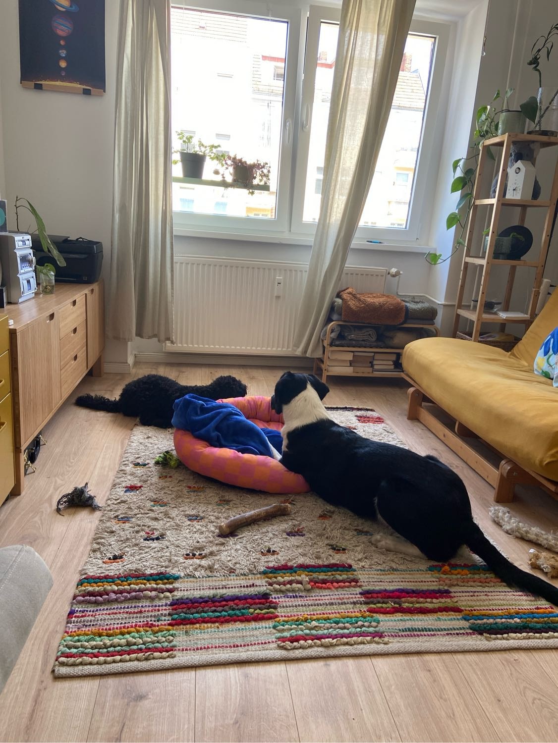 image-8