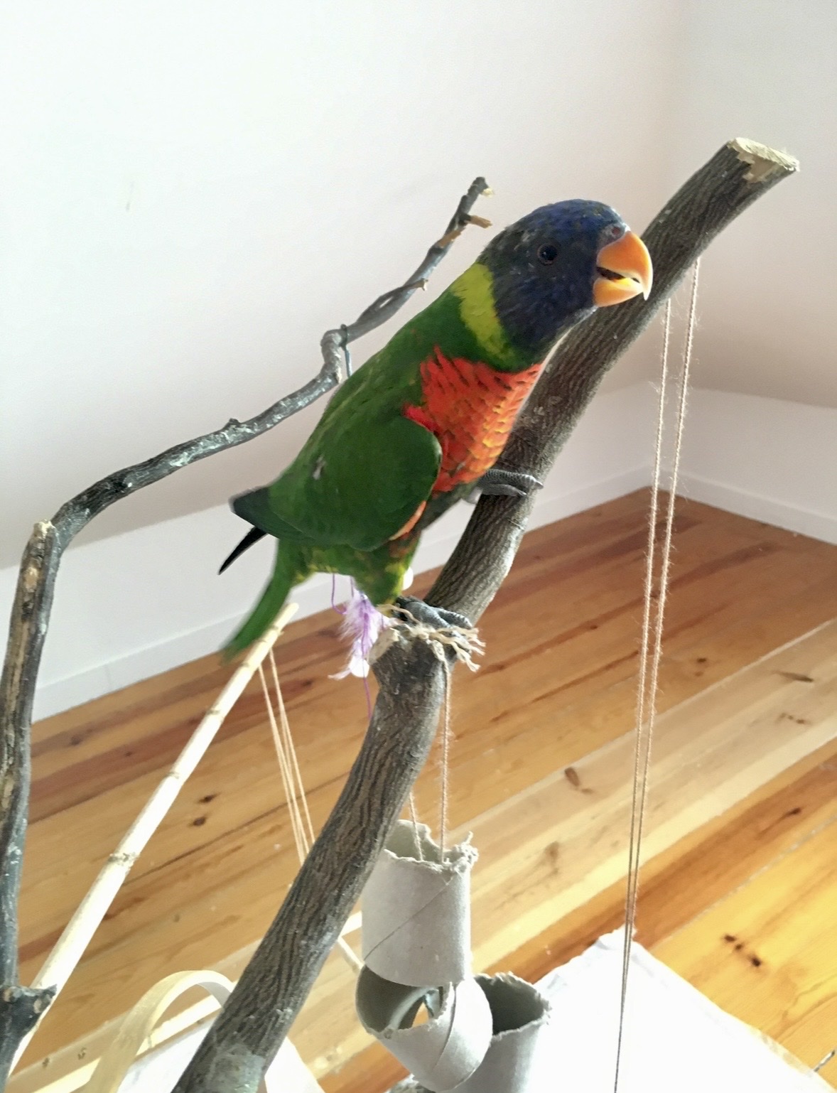 image-11