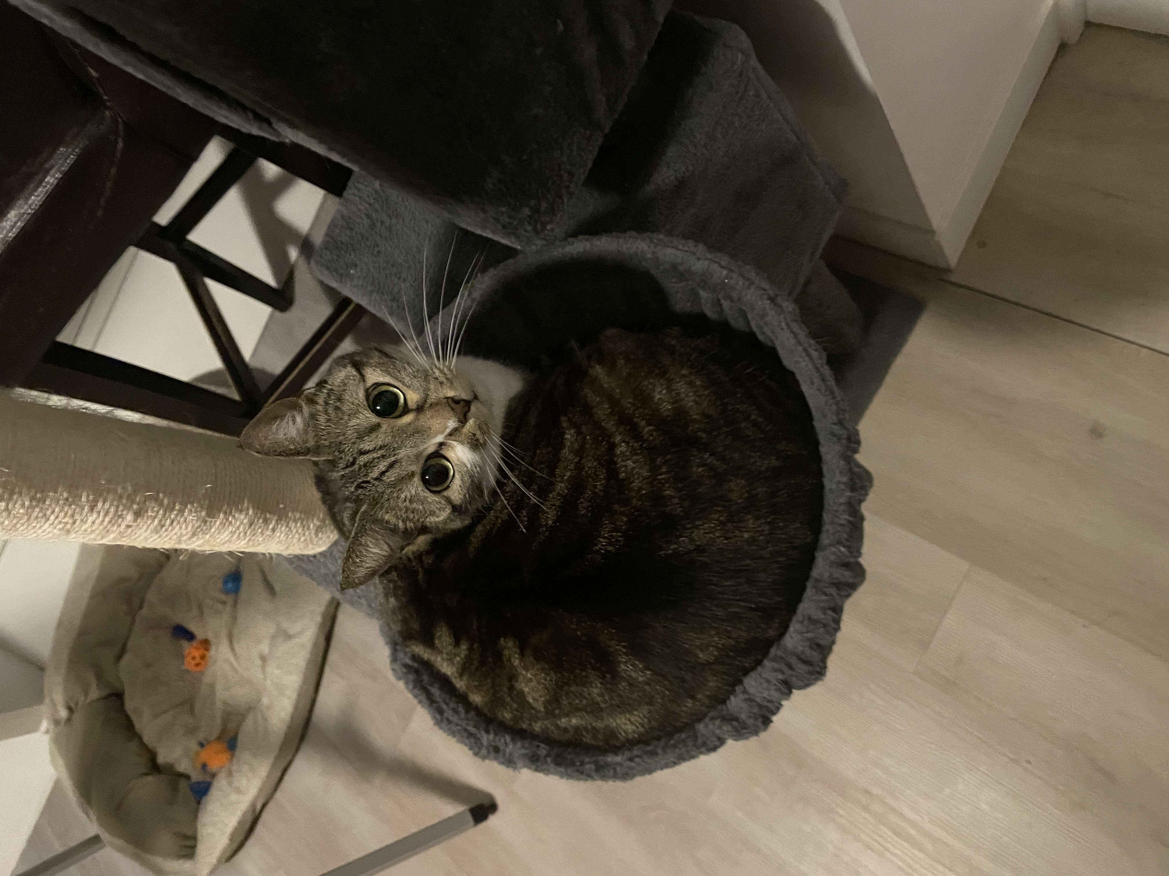 image-9