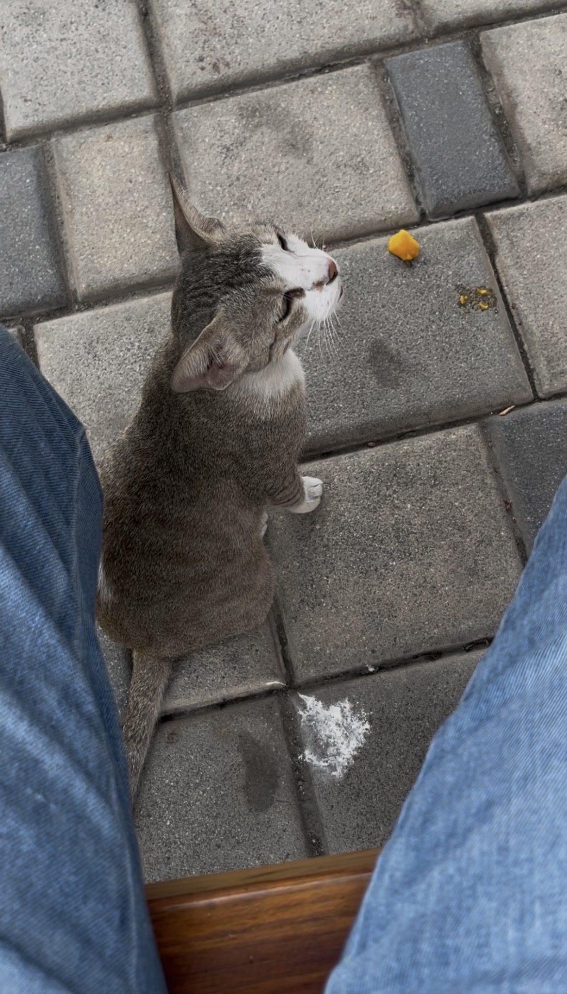 image-6