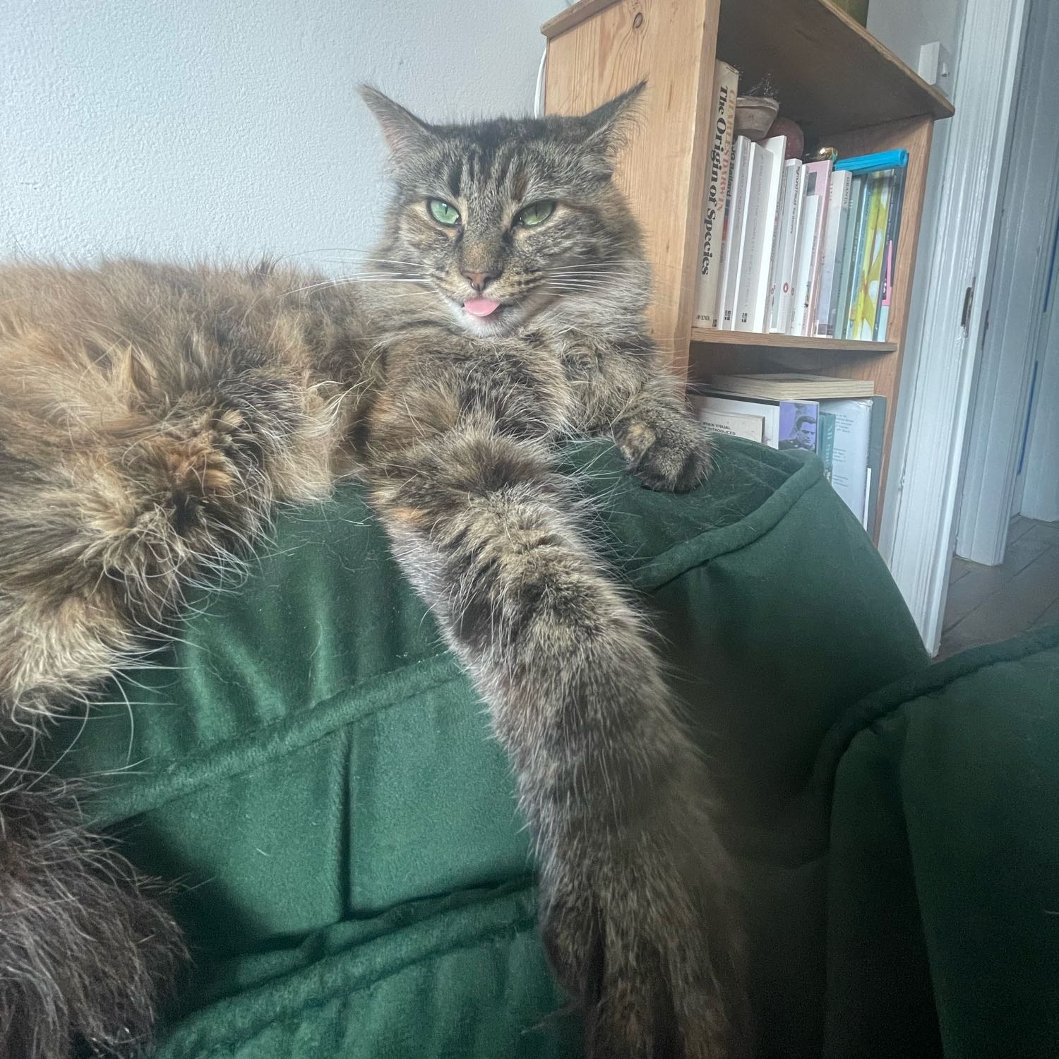 Winnie