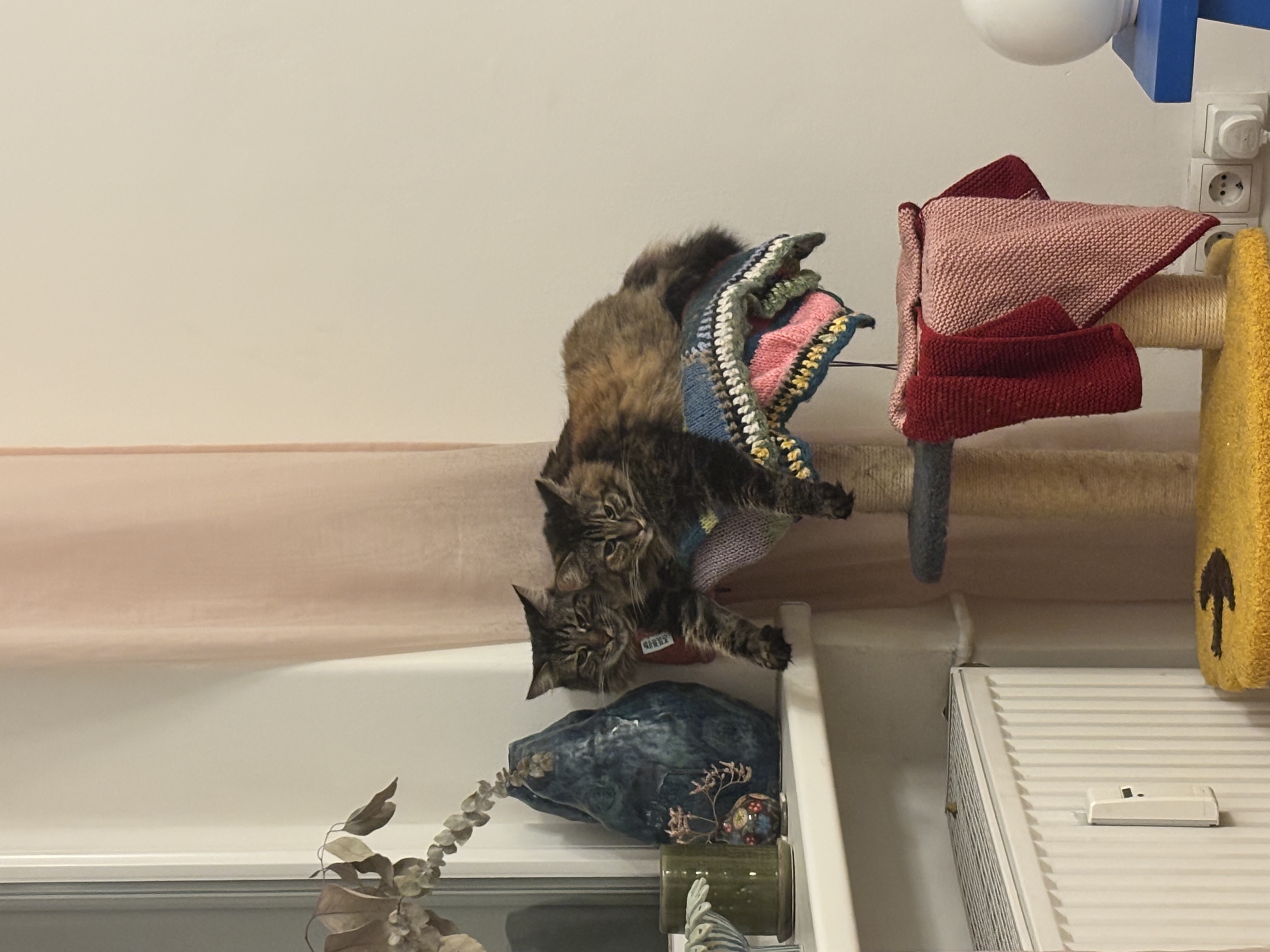 image-13