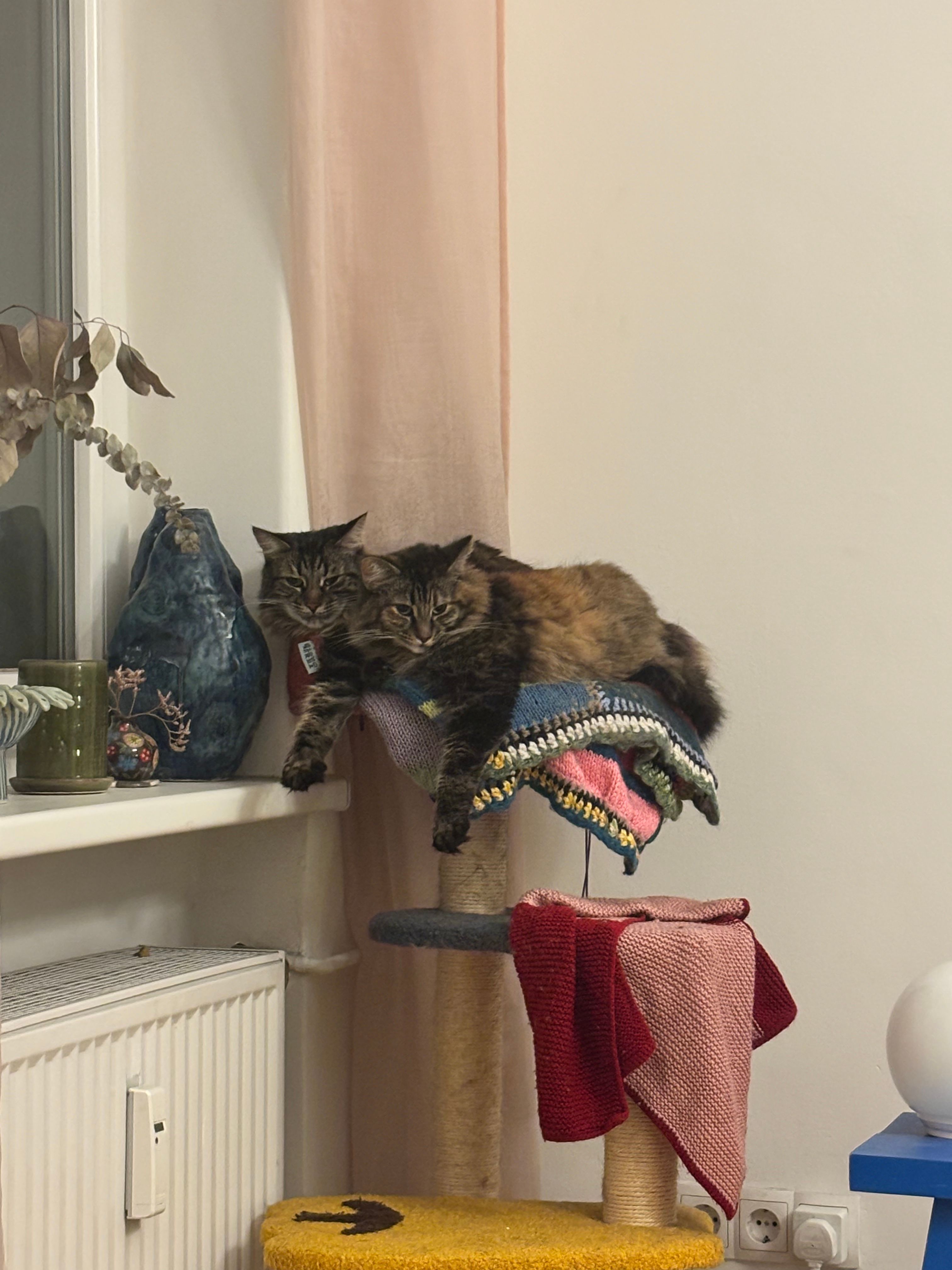 image-13