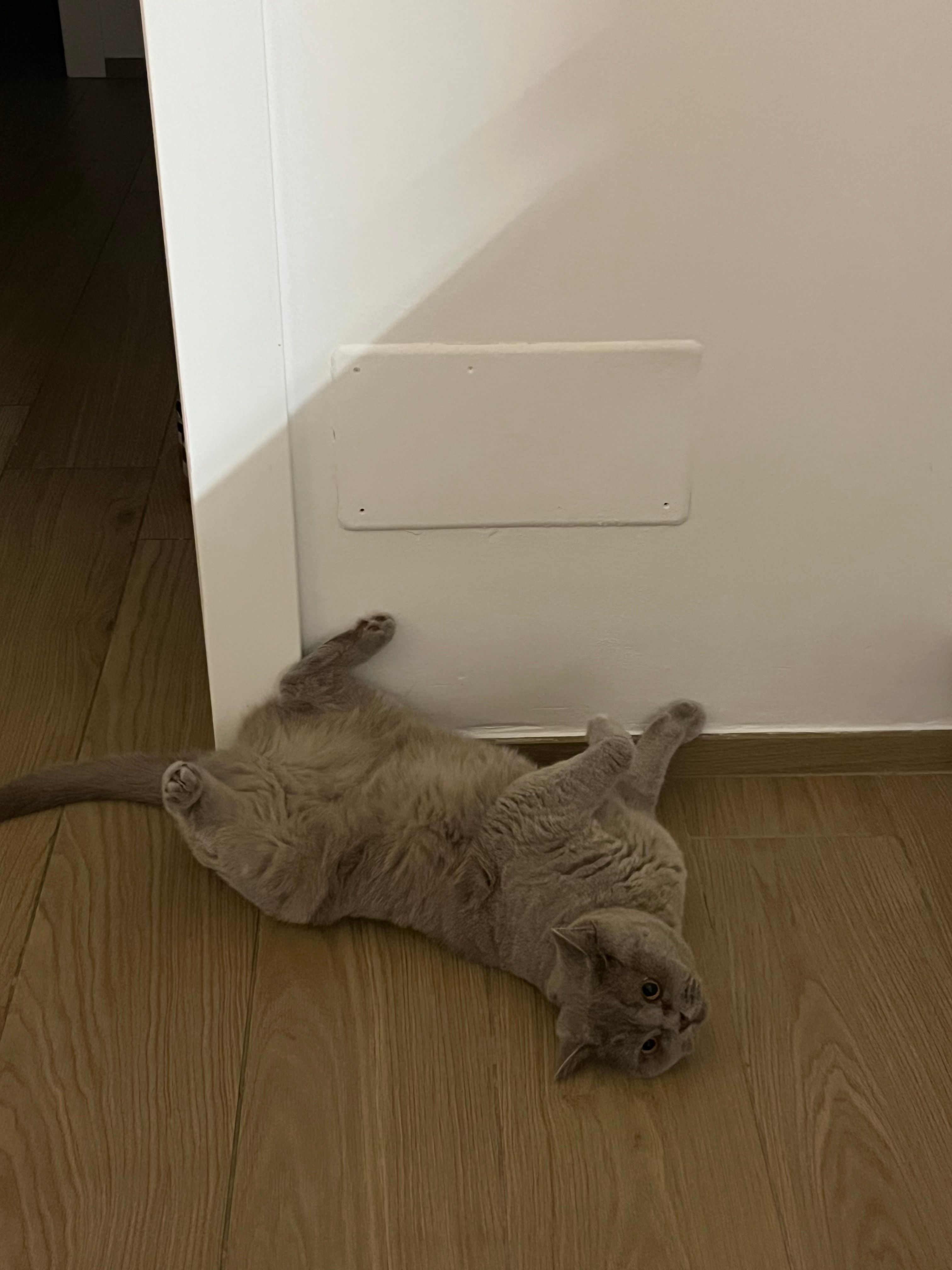 image-16