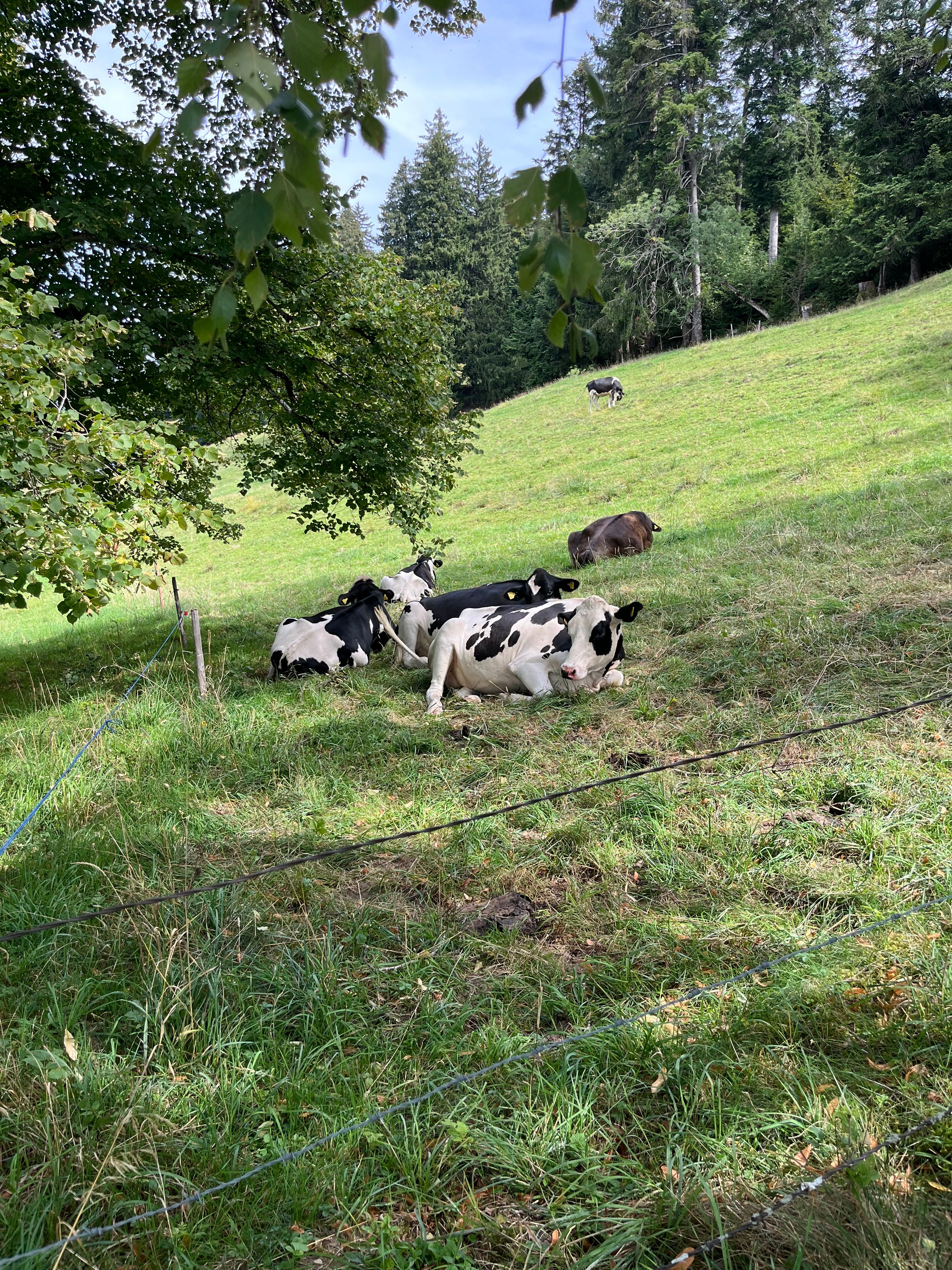 image-14