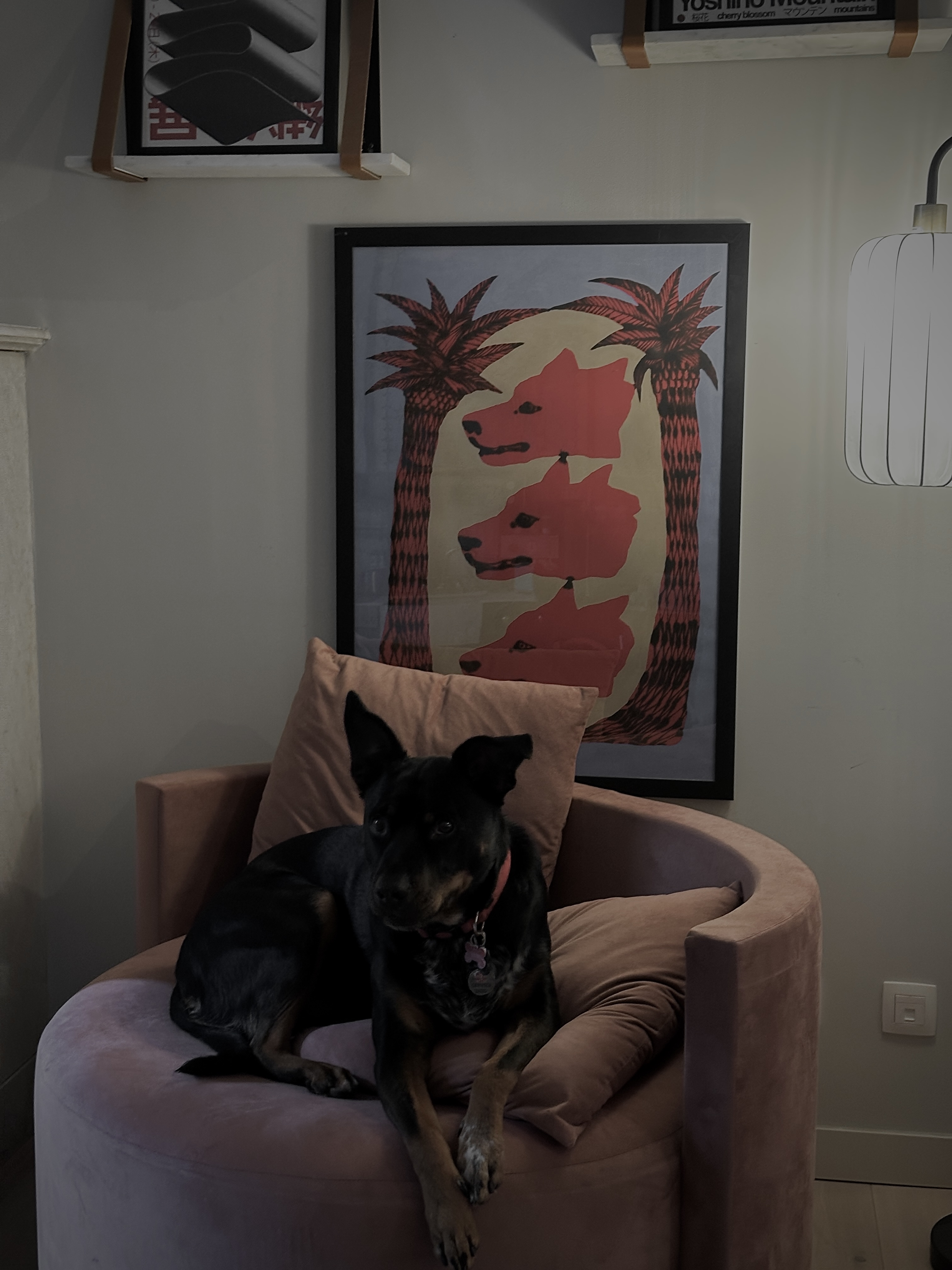 image-16