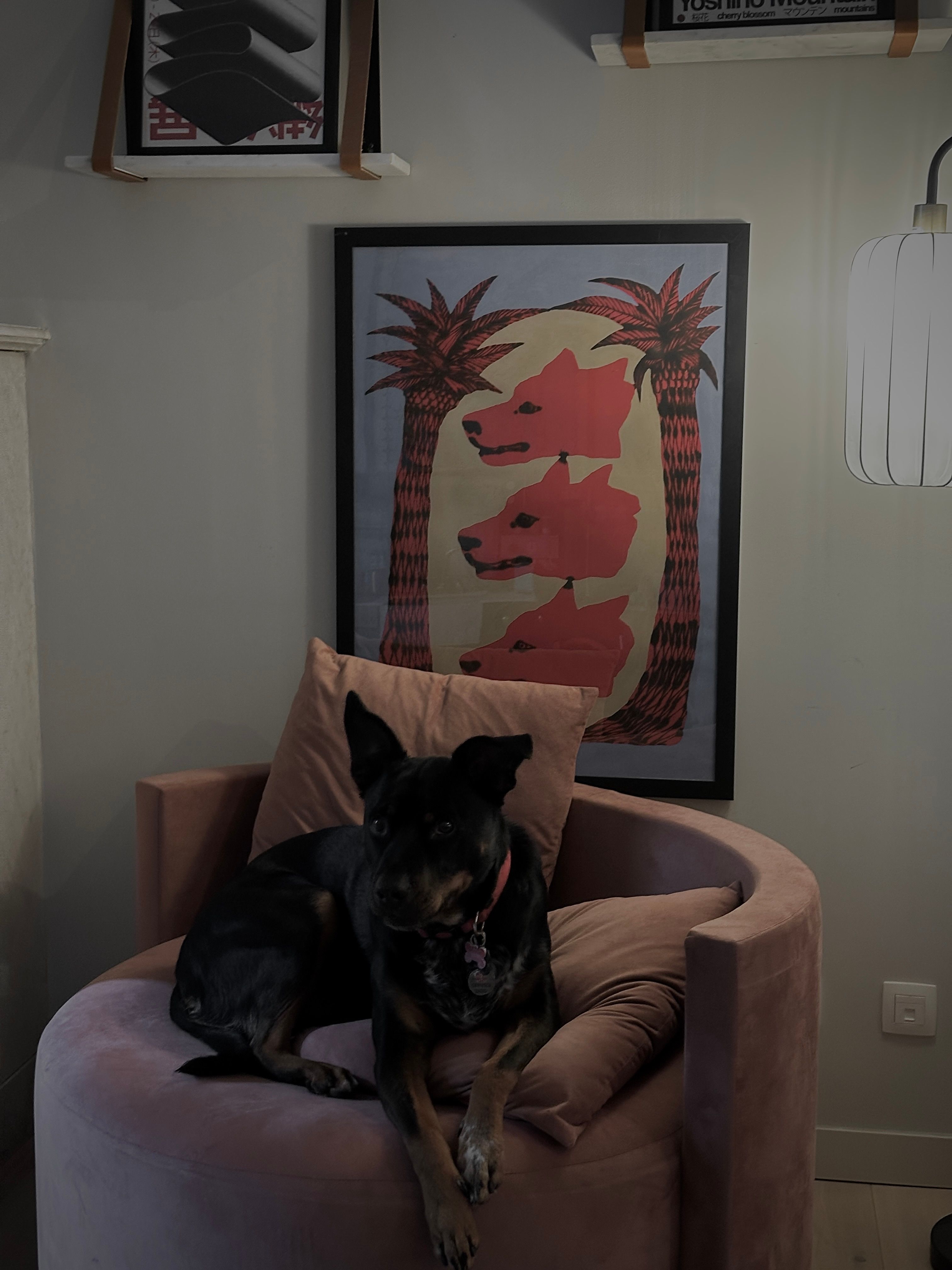 image-16