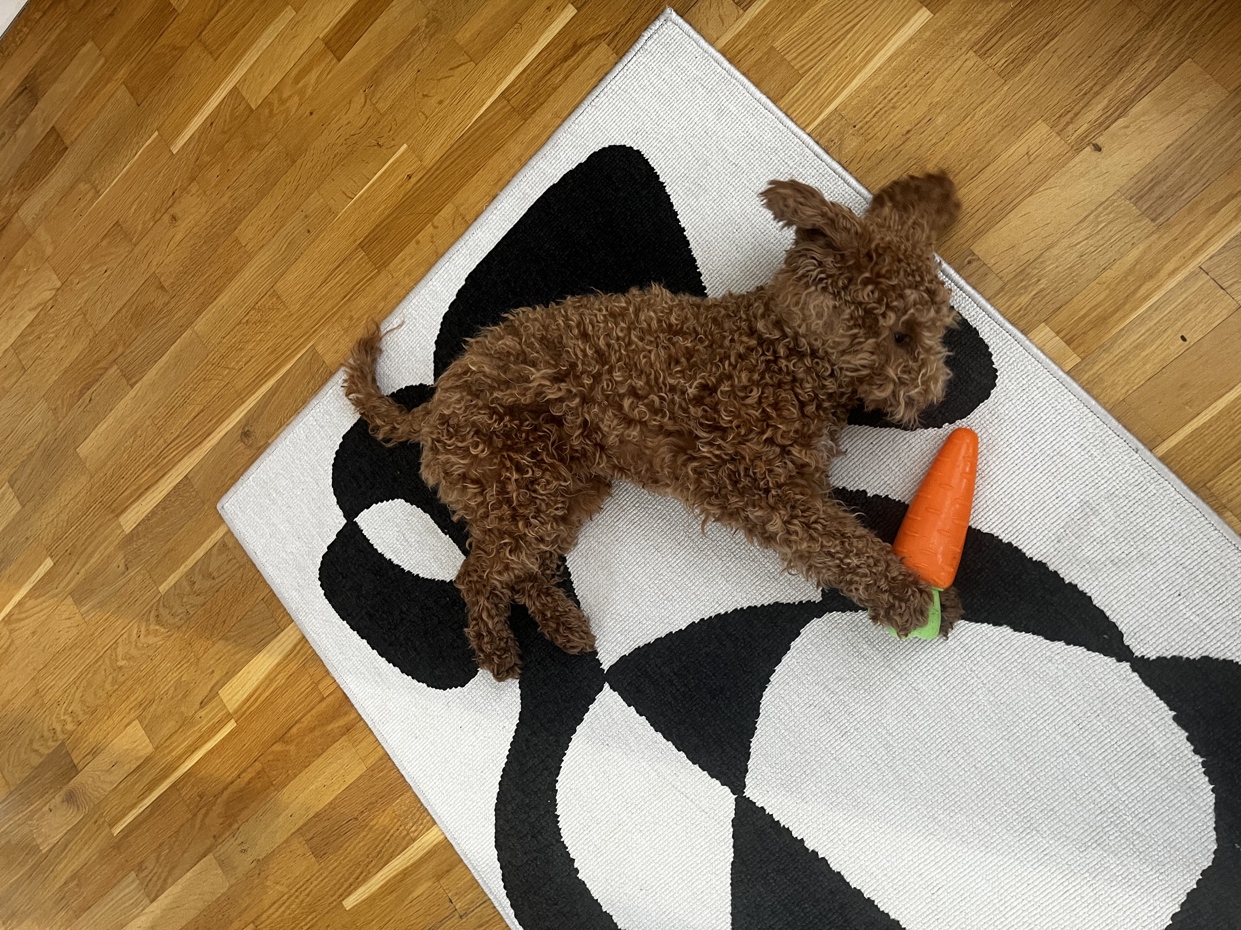 image-9