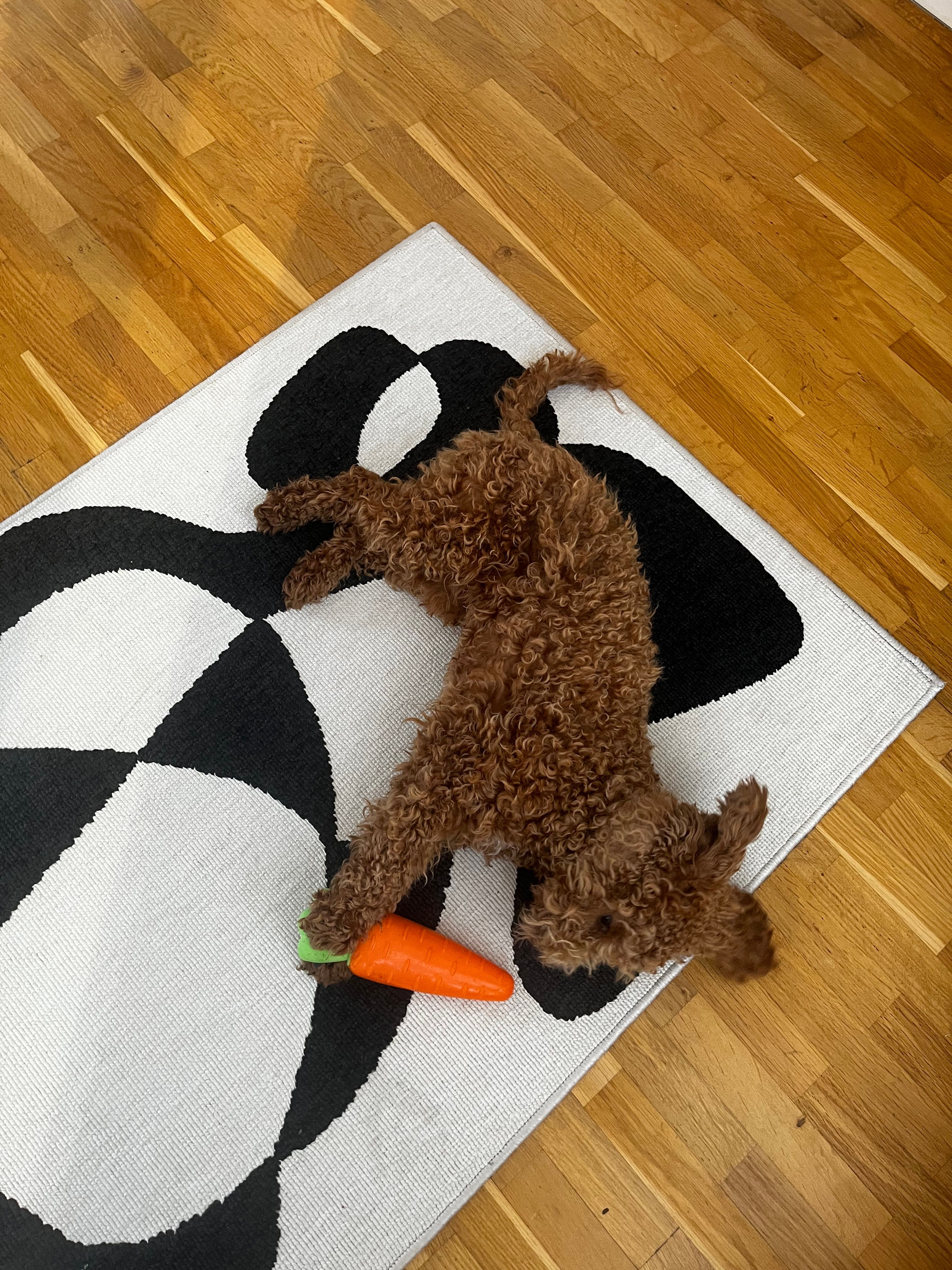 image-9