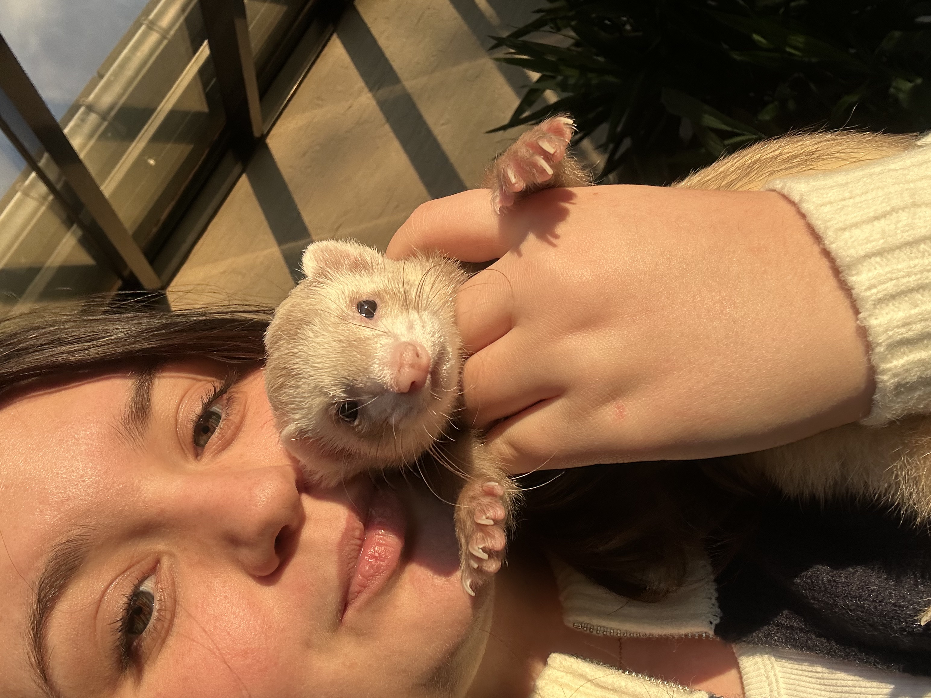image-2