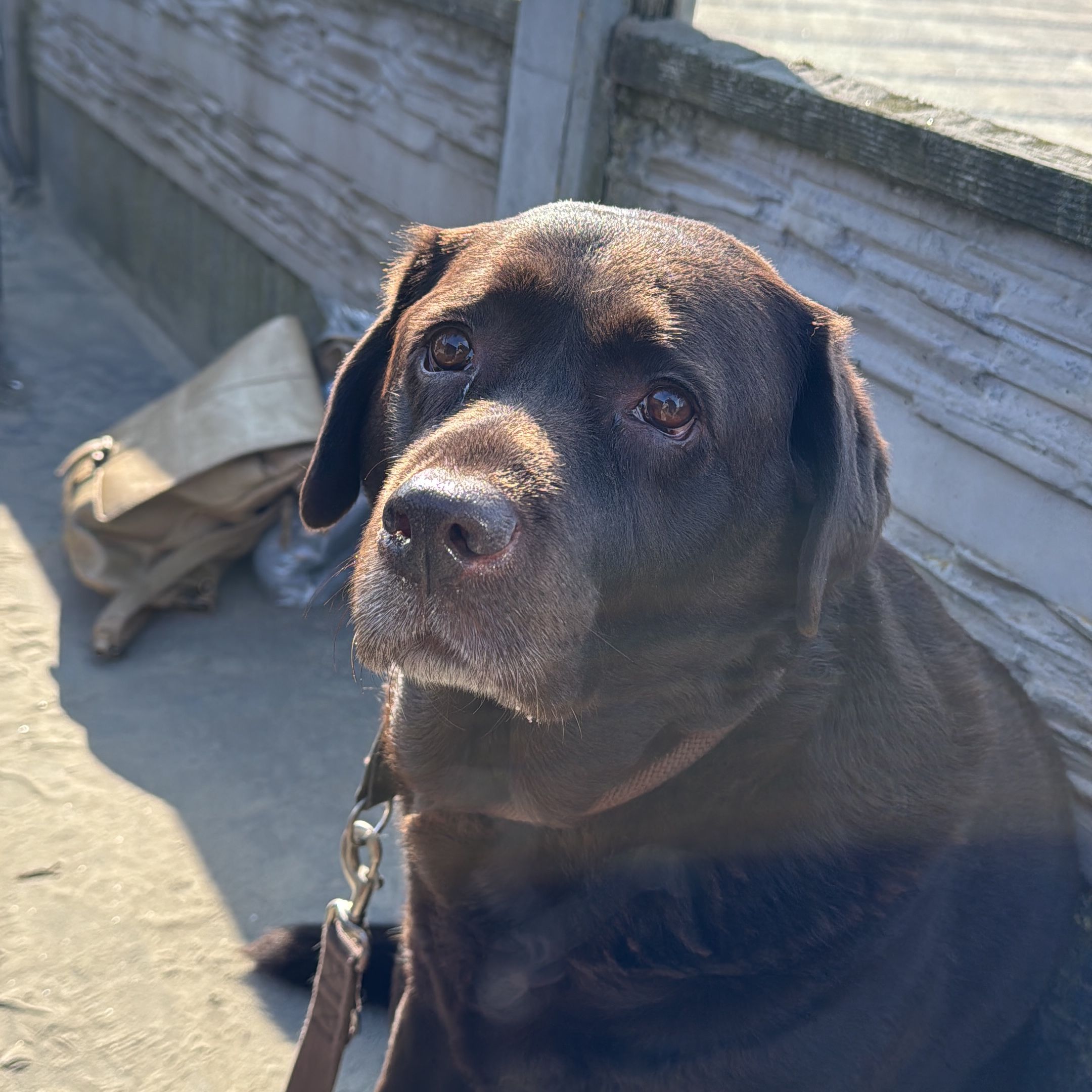 Doris