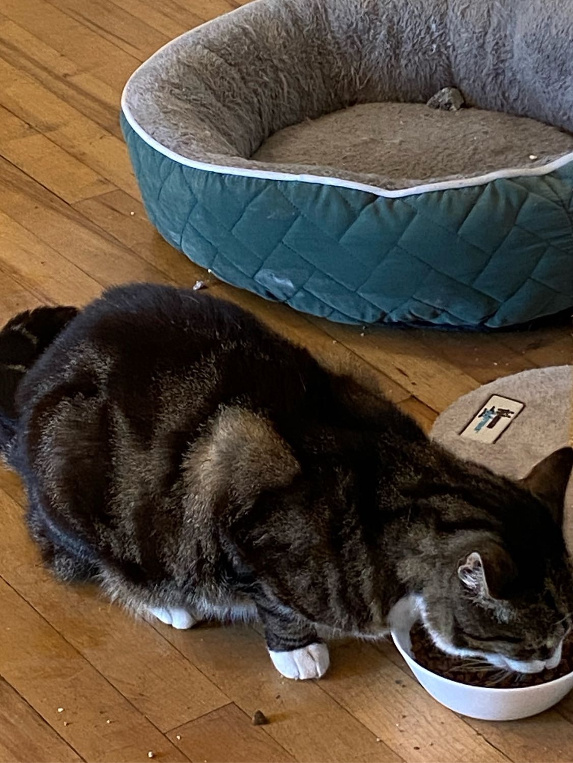 image-10
