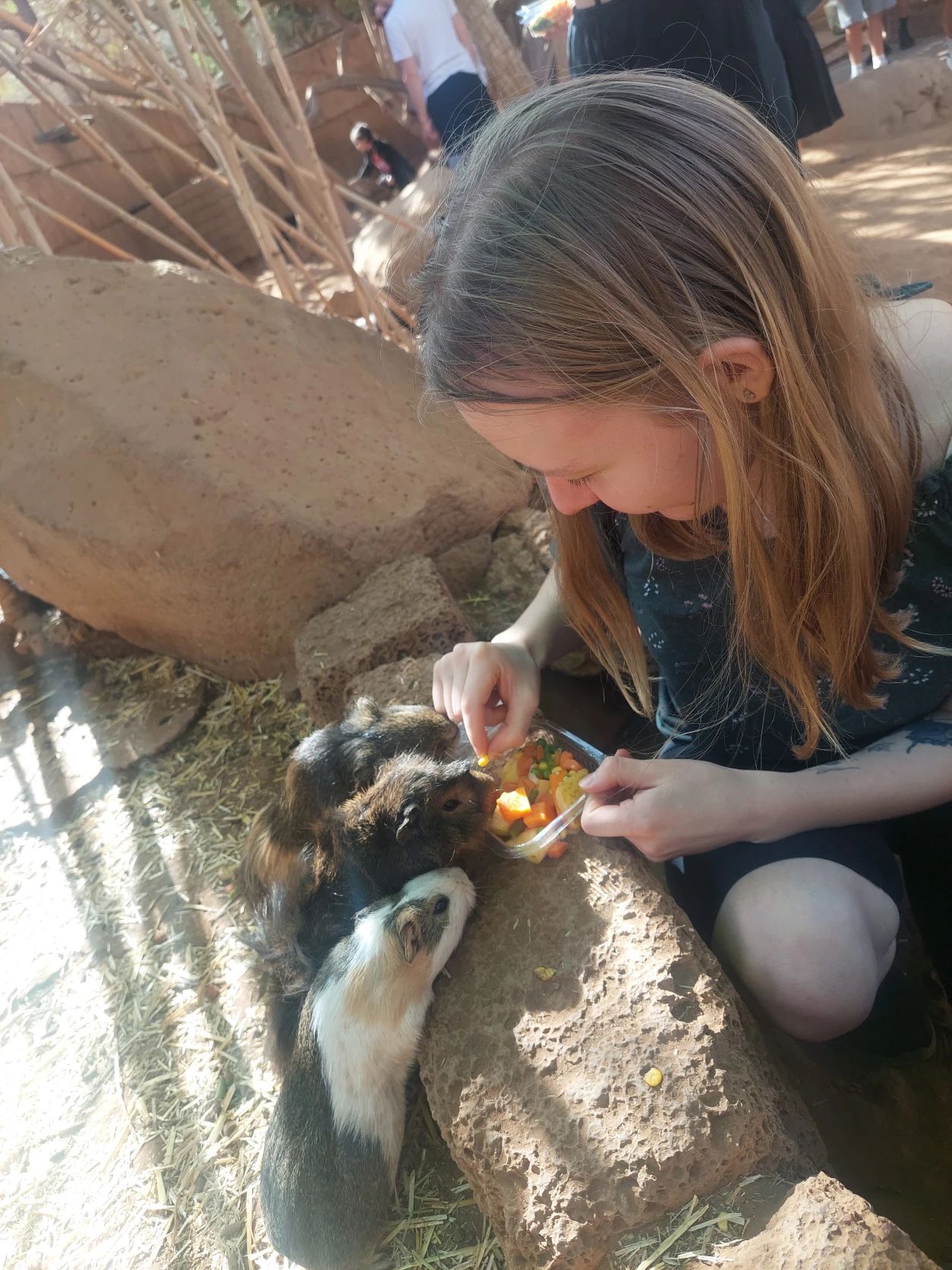 image-2