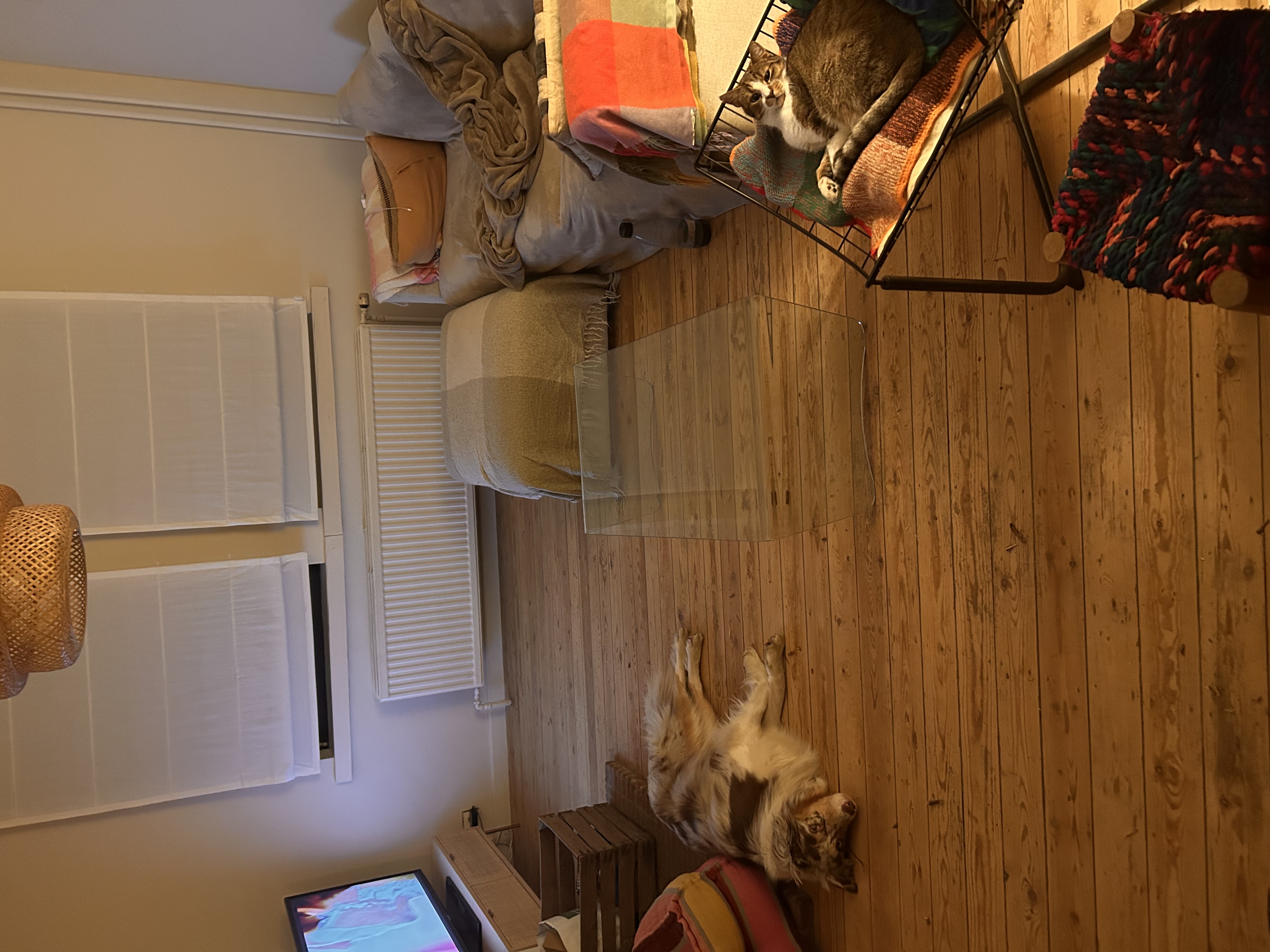 image-19
