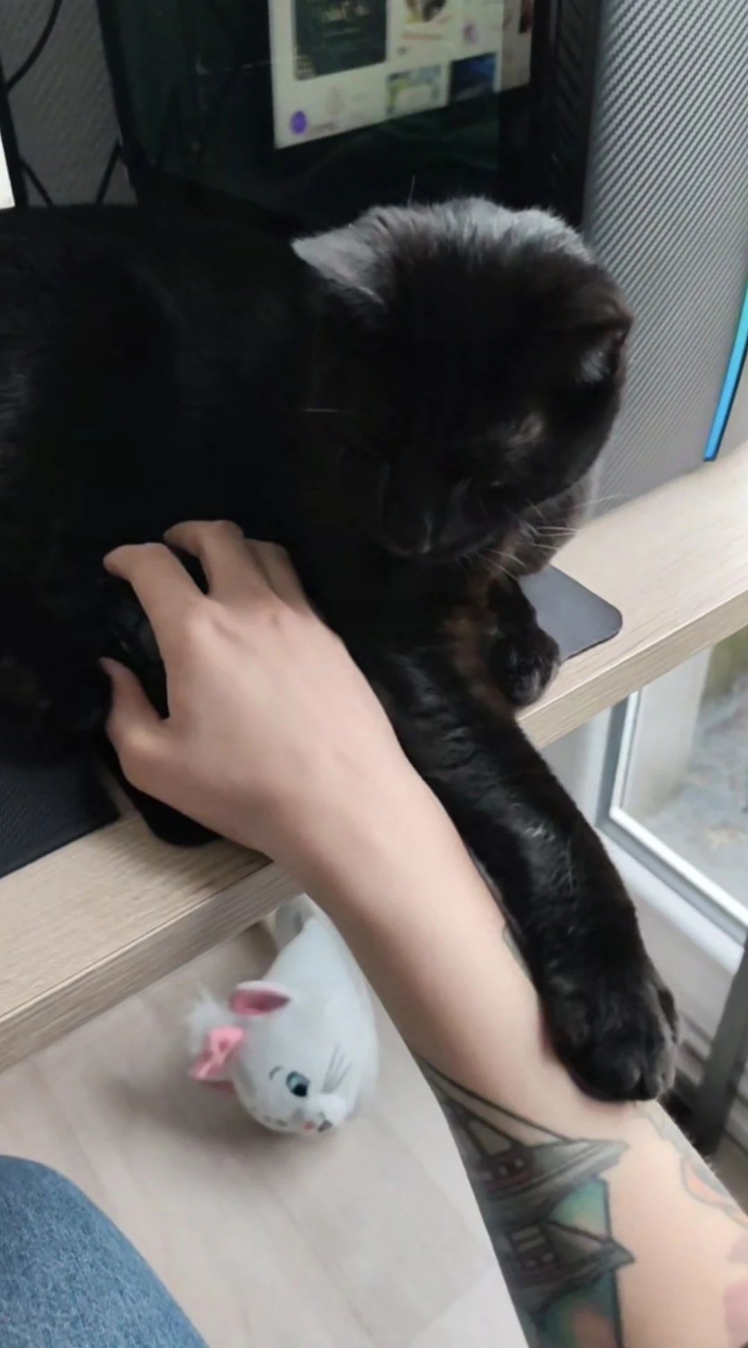 image-7