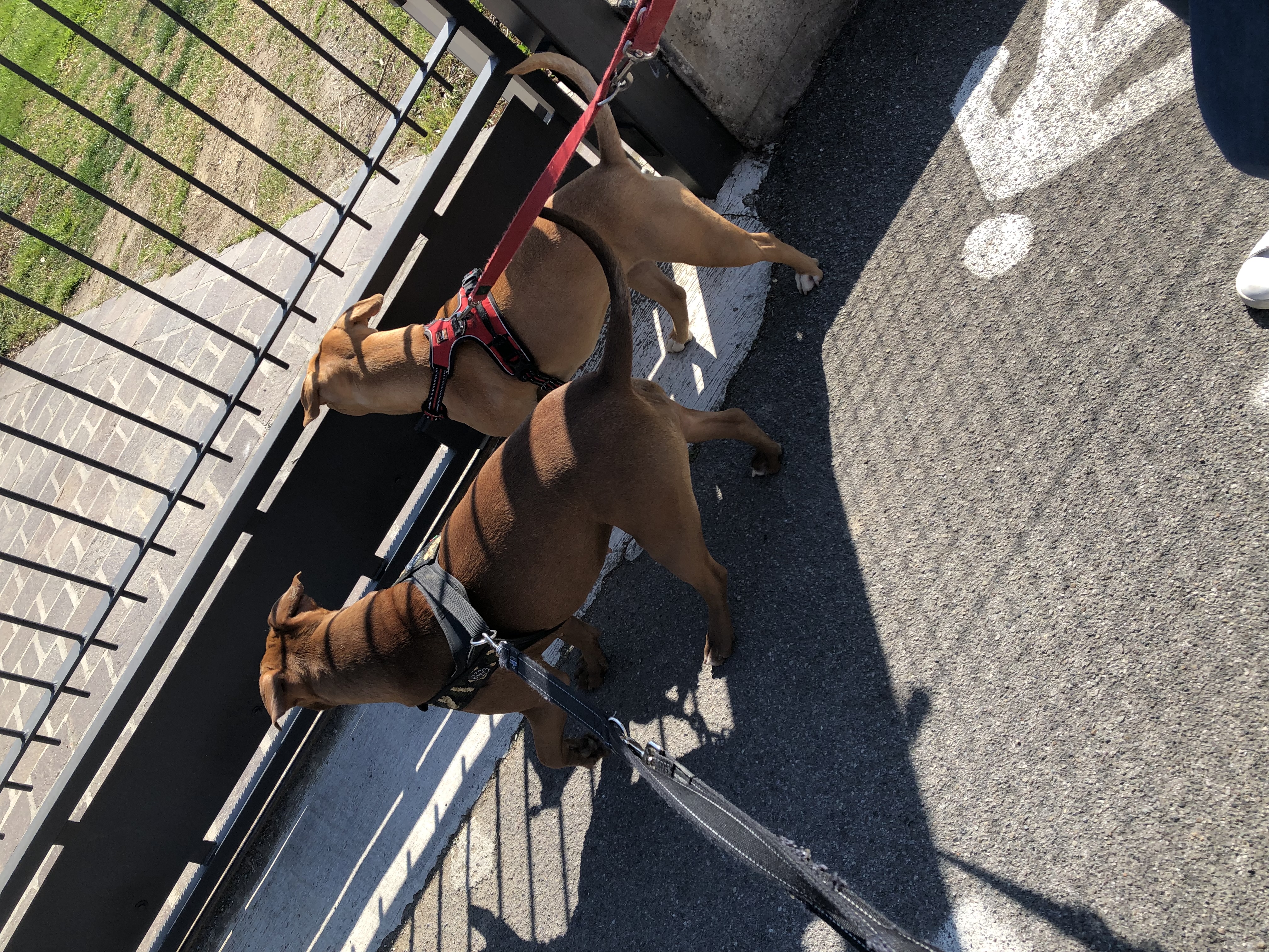 image-20