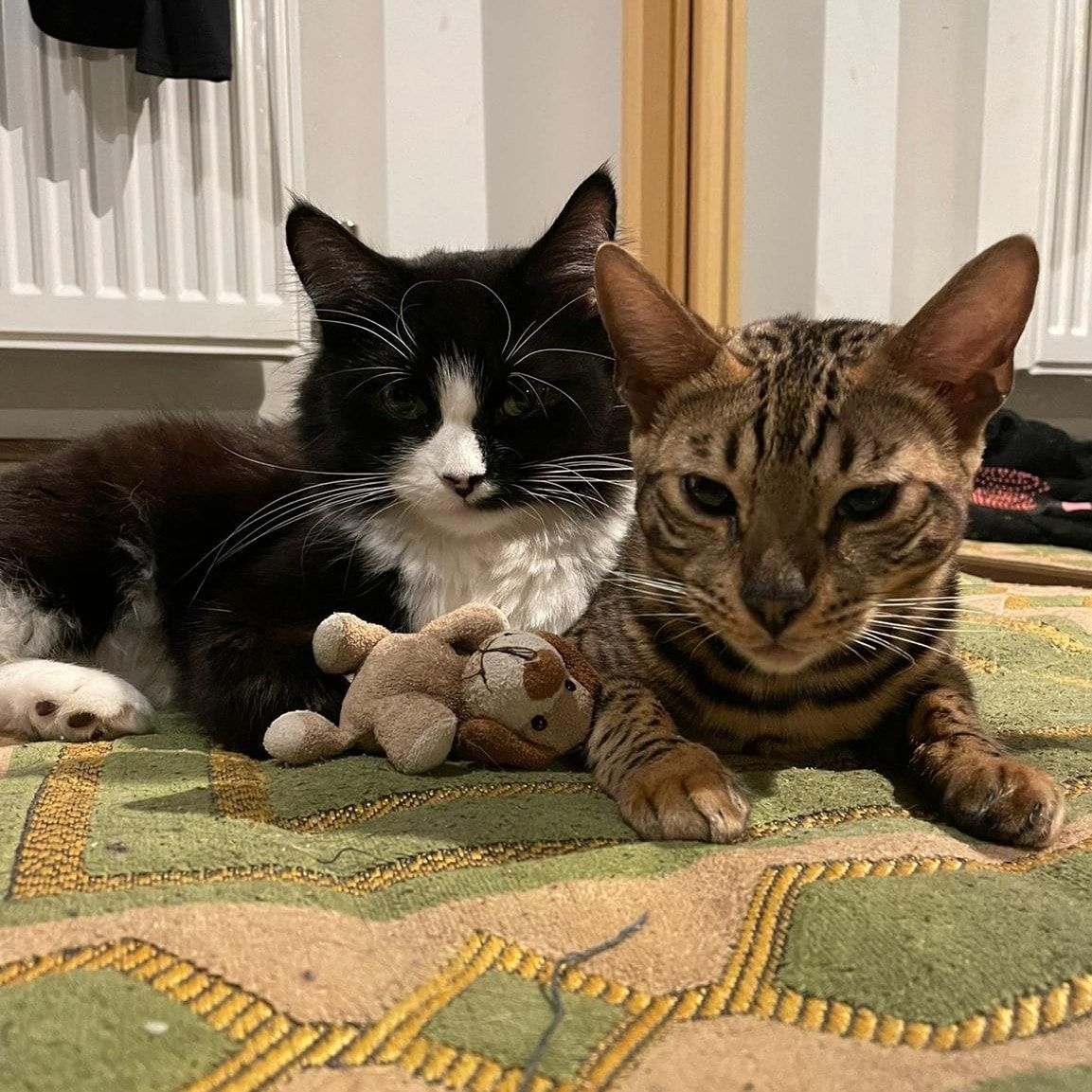 Cookie and Lola
