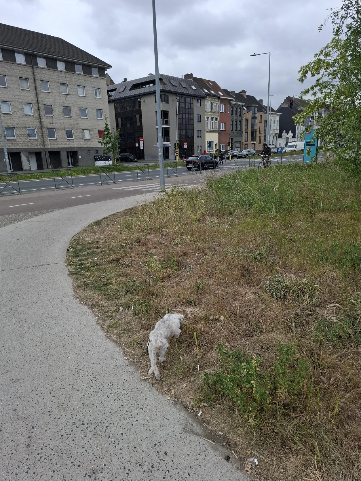 image-4