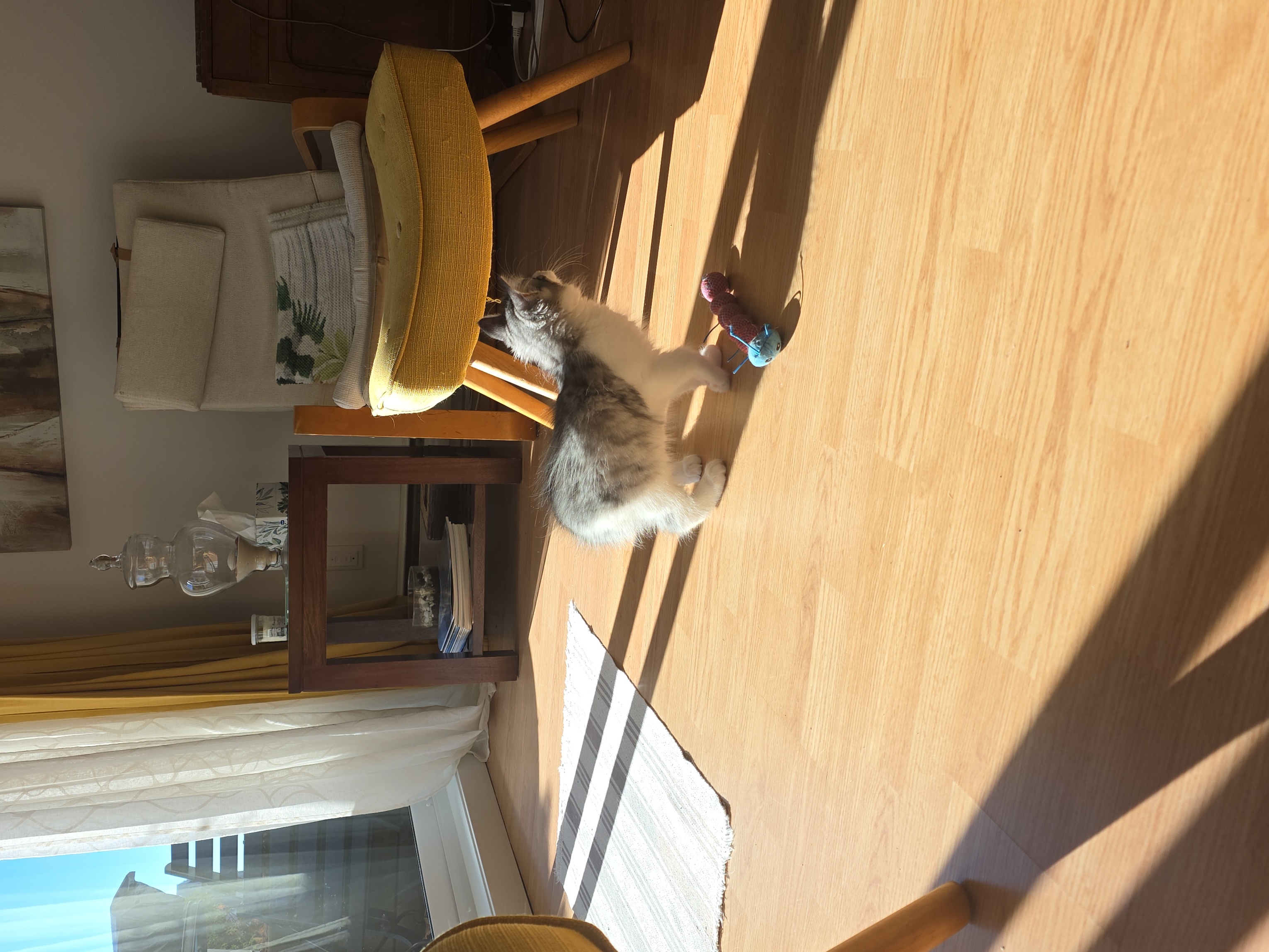 image-7
